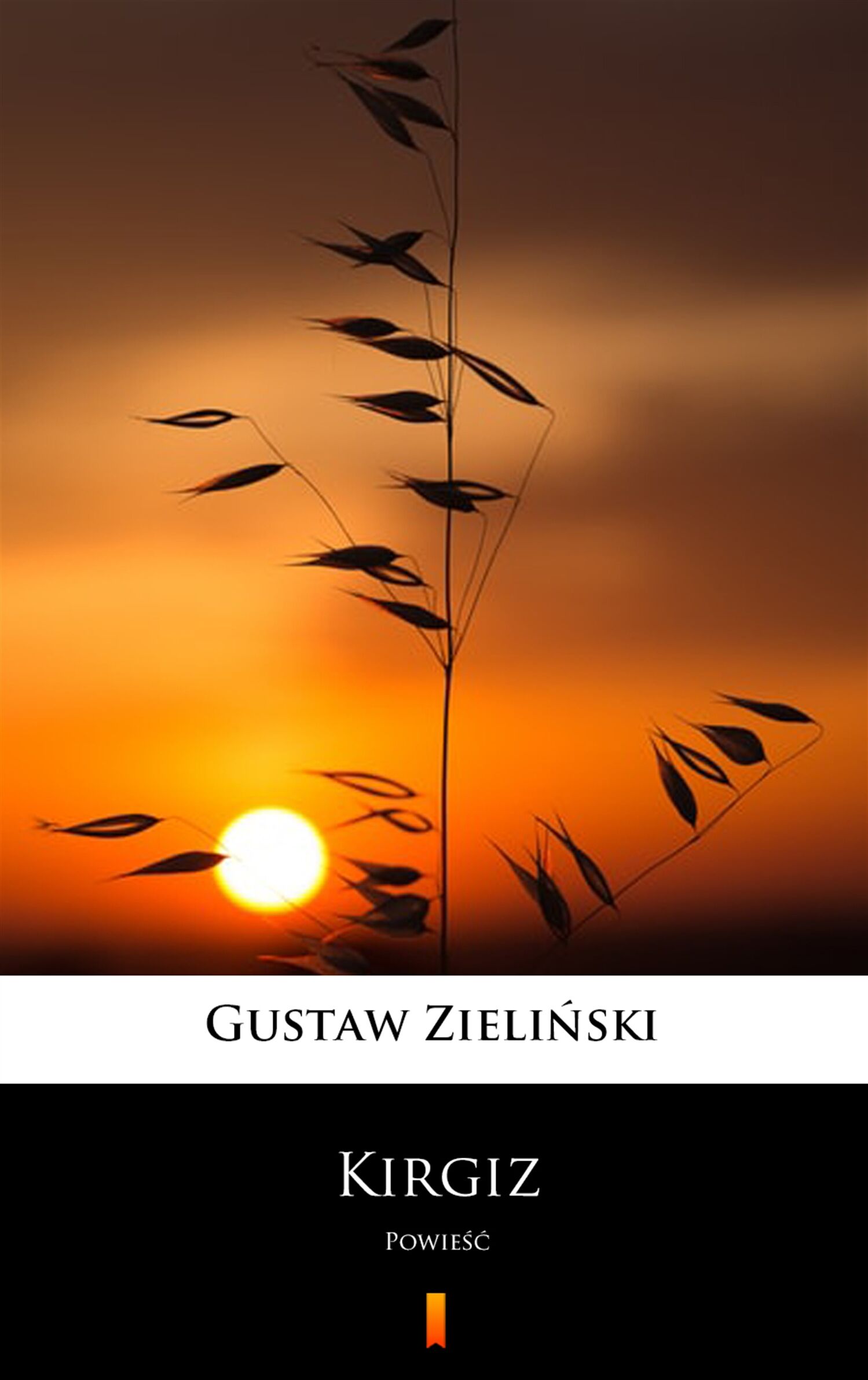 Kirgiz (e-book)