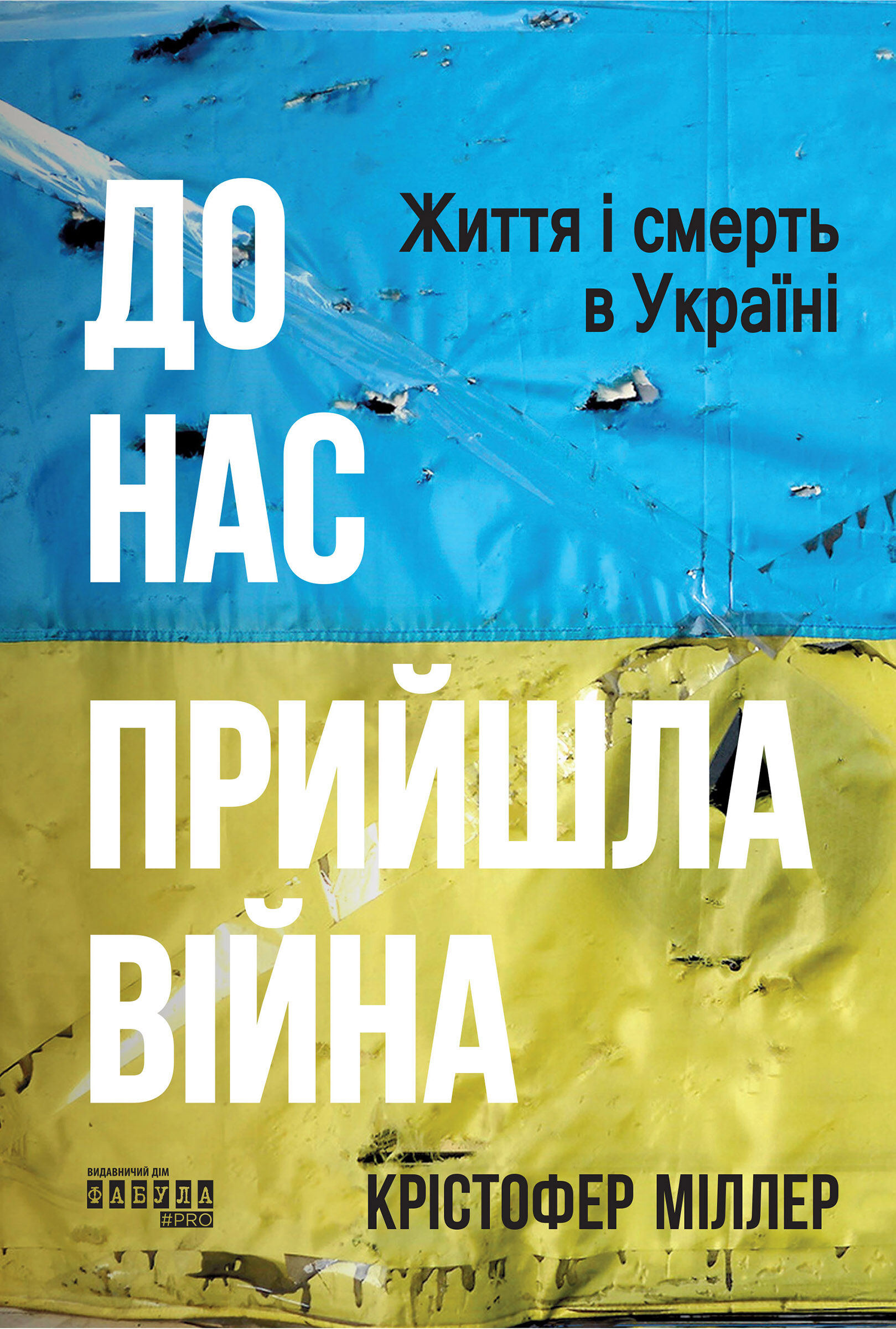 До нас прийшла війна. Життя і смерть в Україні (e-book)