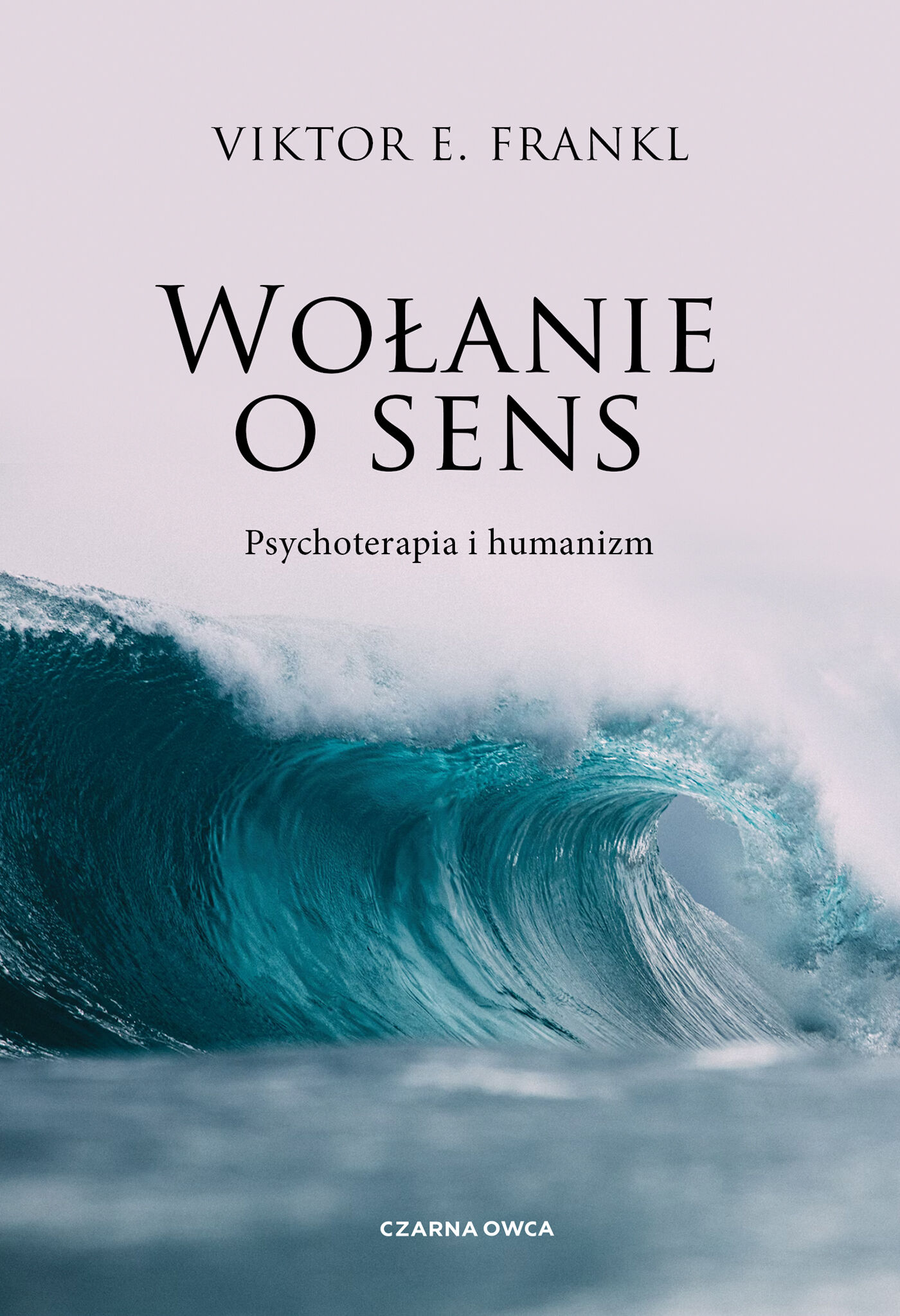 Wołanie o sens (e-book)