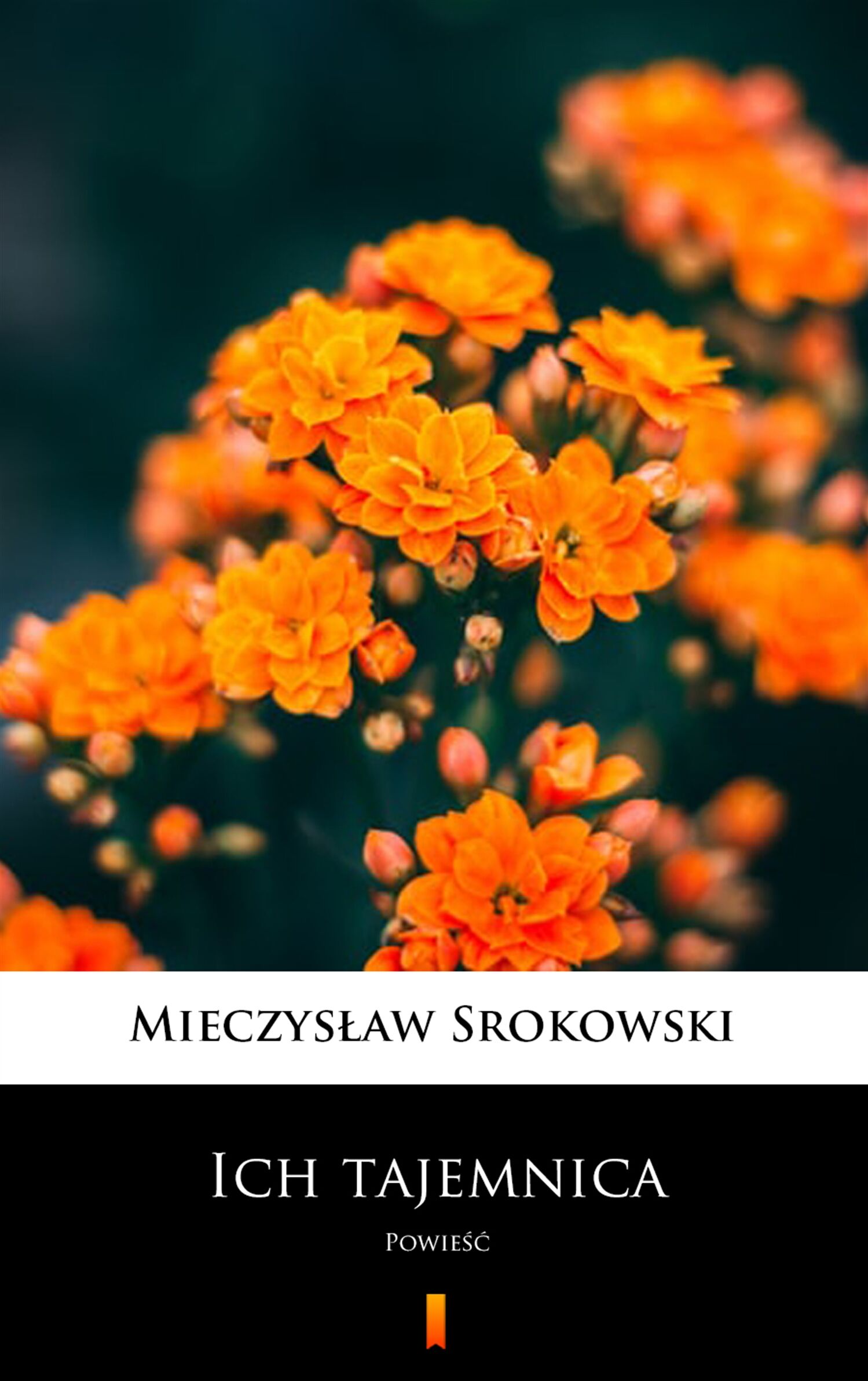 Ich tajemnica (e-book)