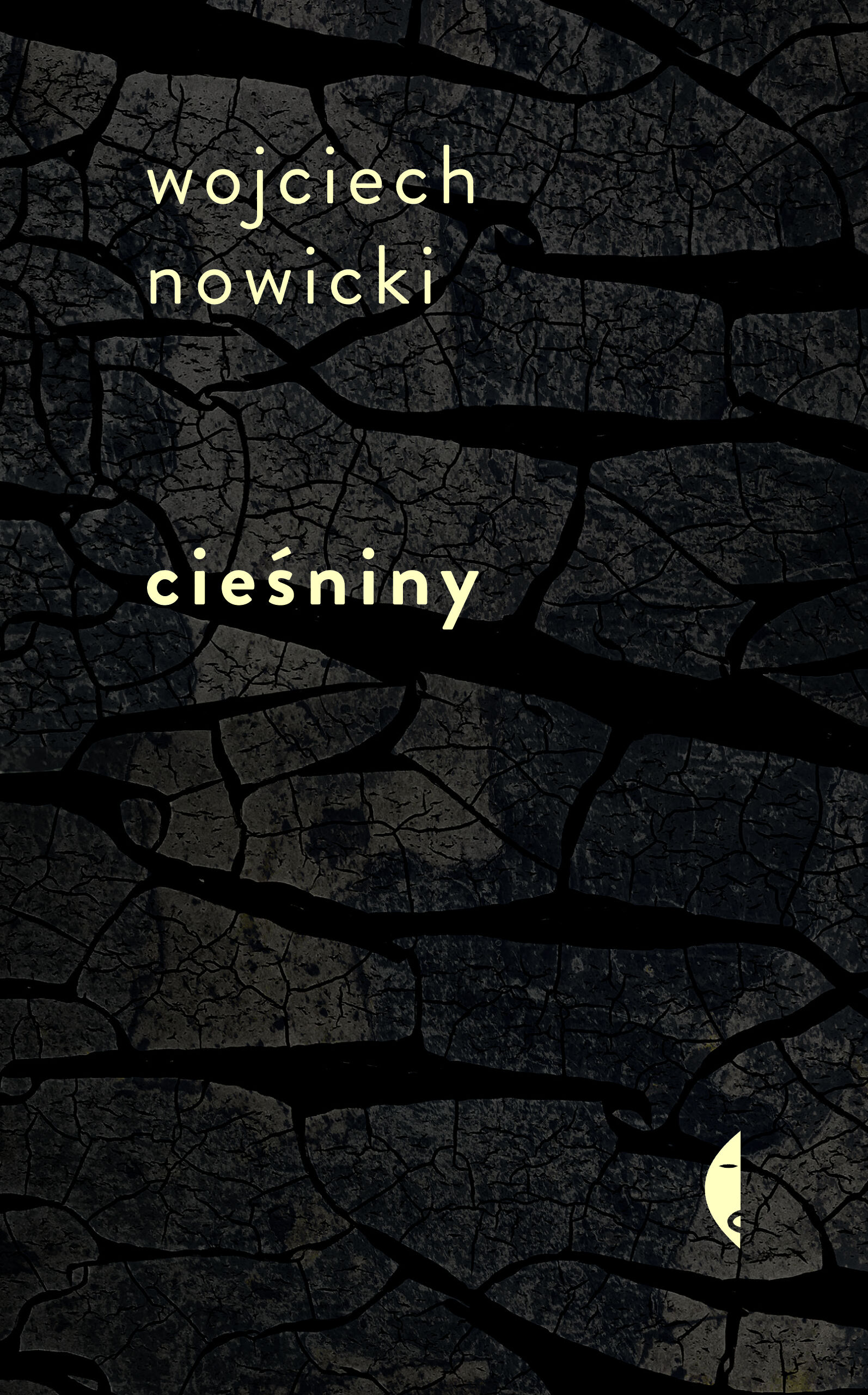 Cieśniny (e-book)