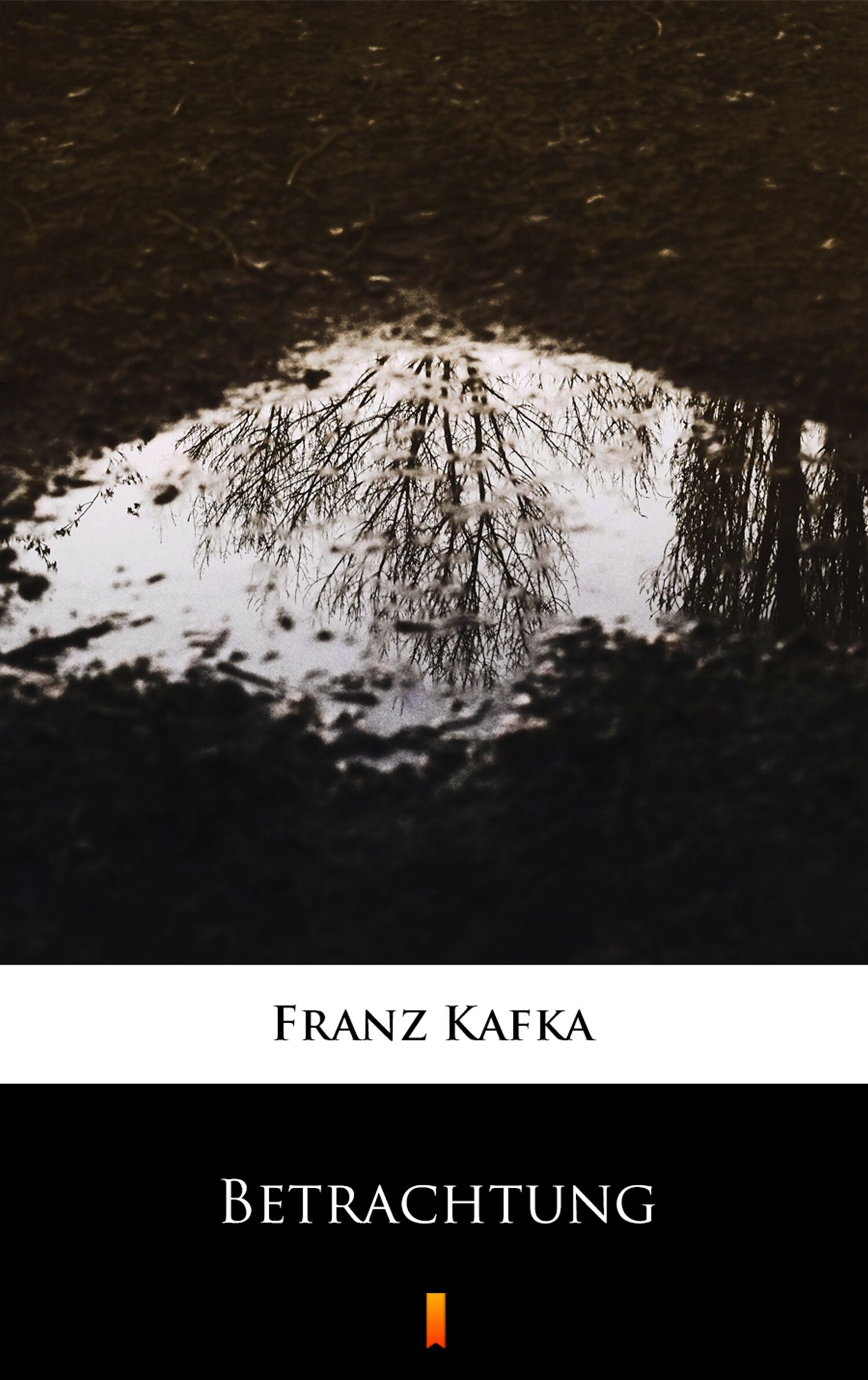 Betrachtung (e-book)
