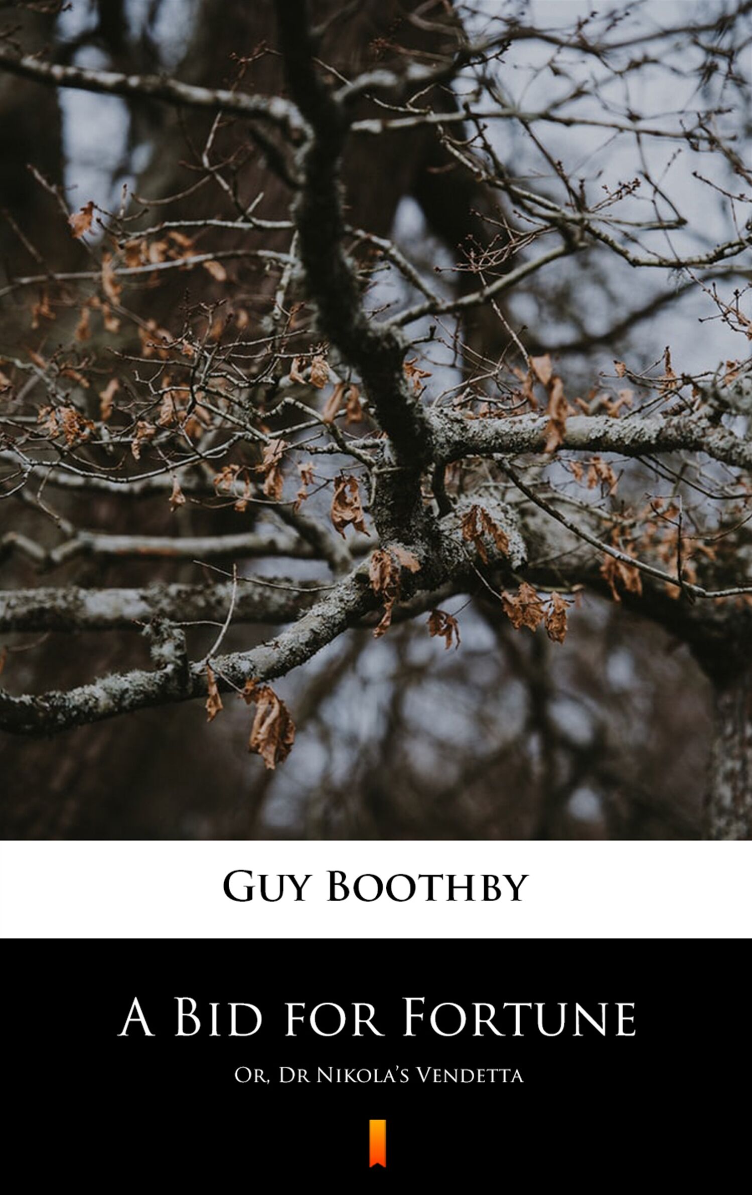 A Bid for Fortune (e-book)