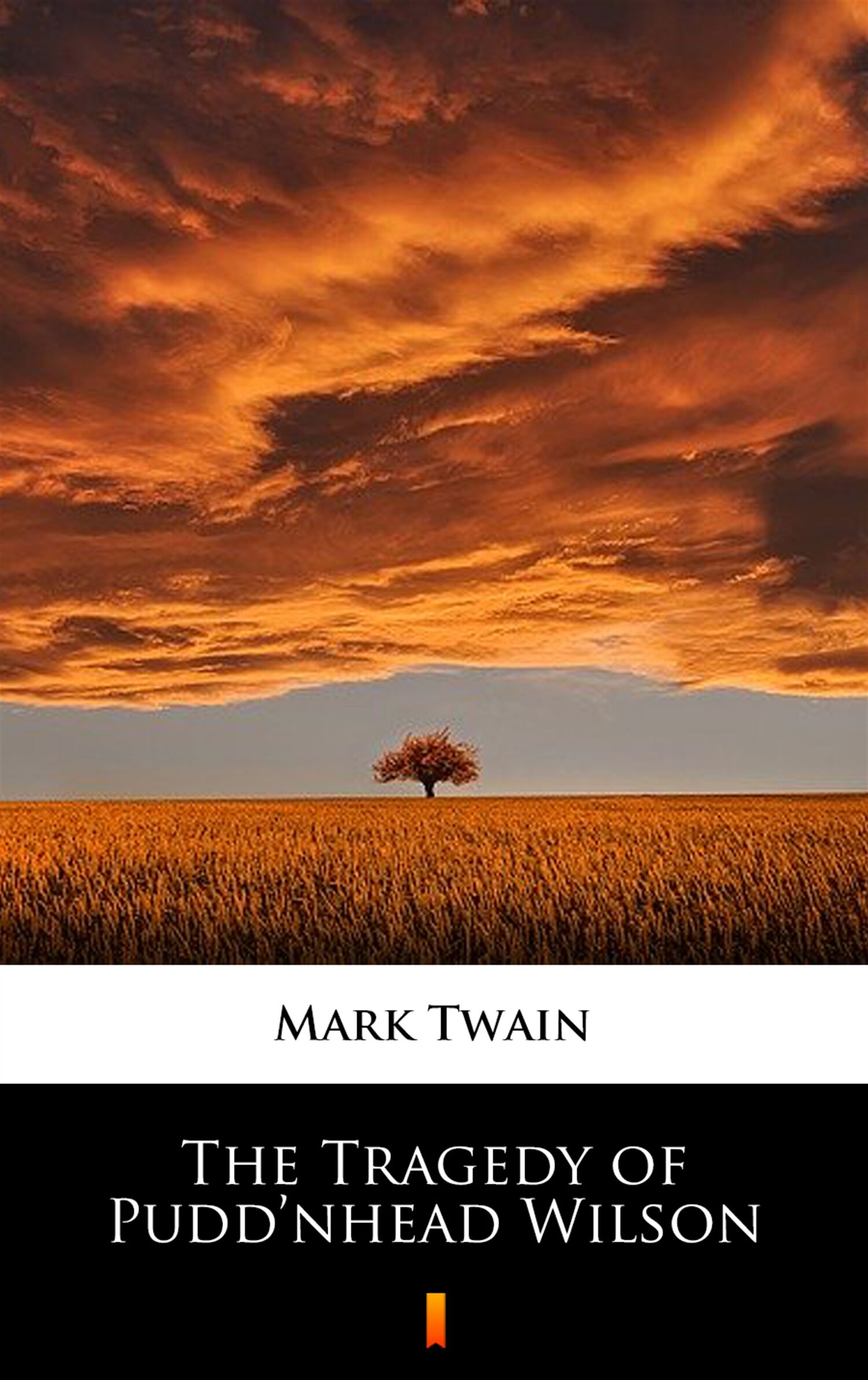 The Tragedy of Pudd’nhead Wilson (e-book)