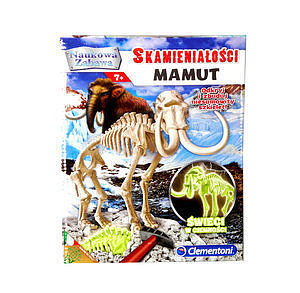 Skamieniałości mamut