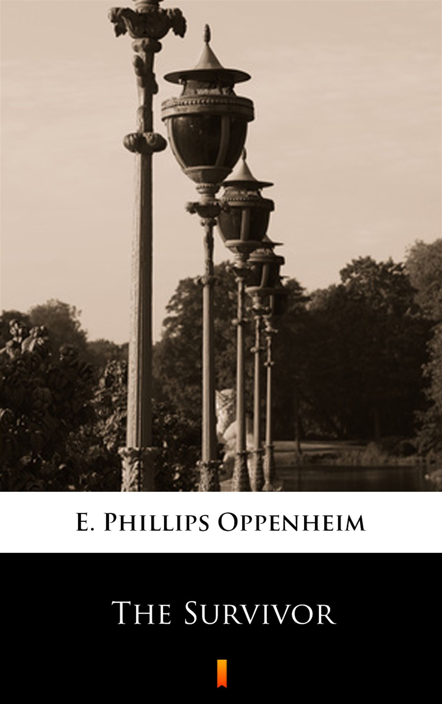 The Survivor (e-book)