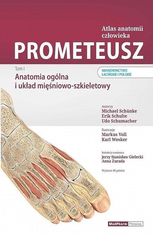 Prometeusz Atlas anatomii człowieka. Tom 1