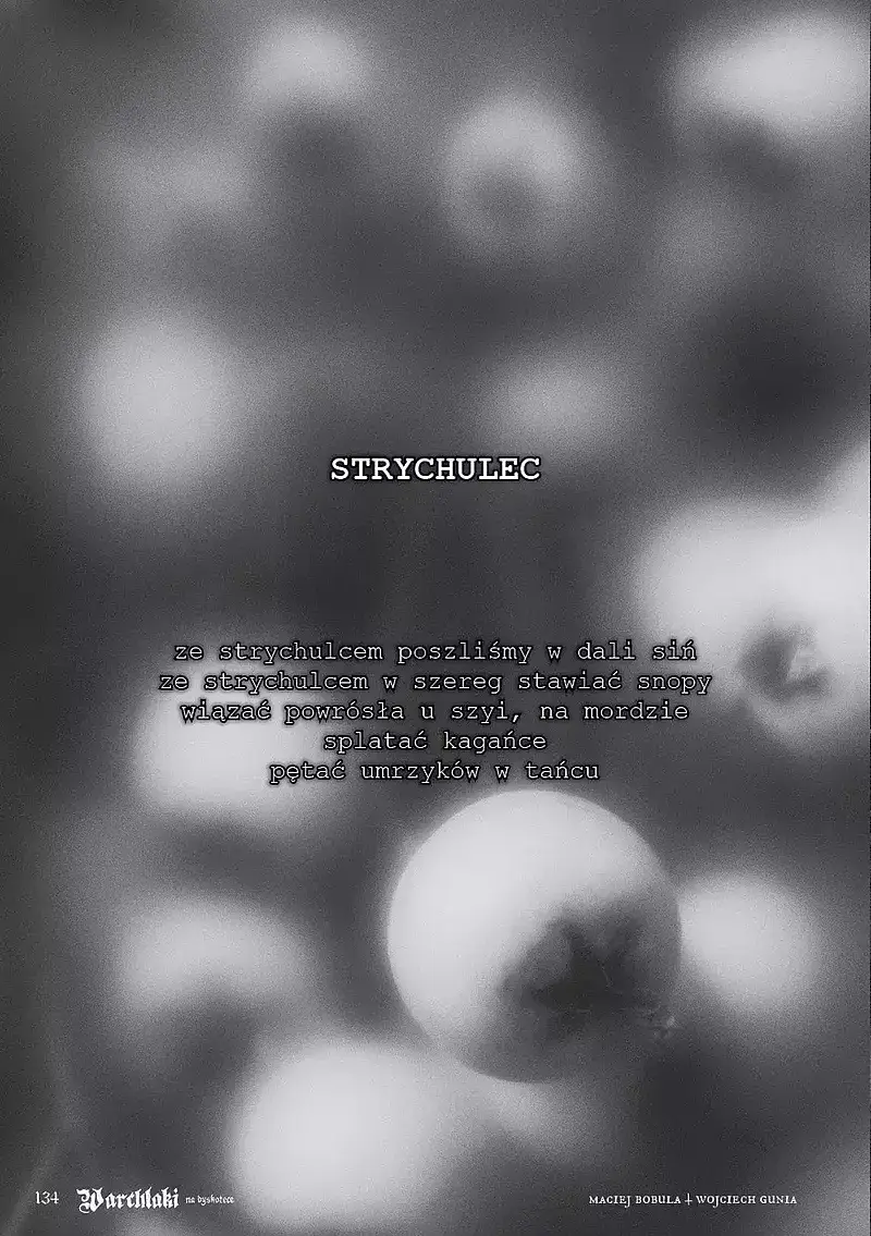 Warchlaki na dyskotece: BLACK METAL