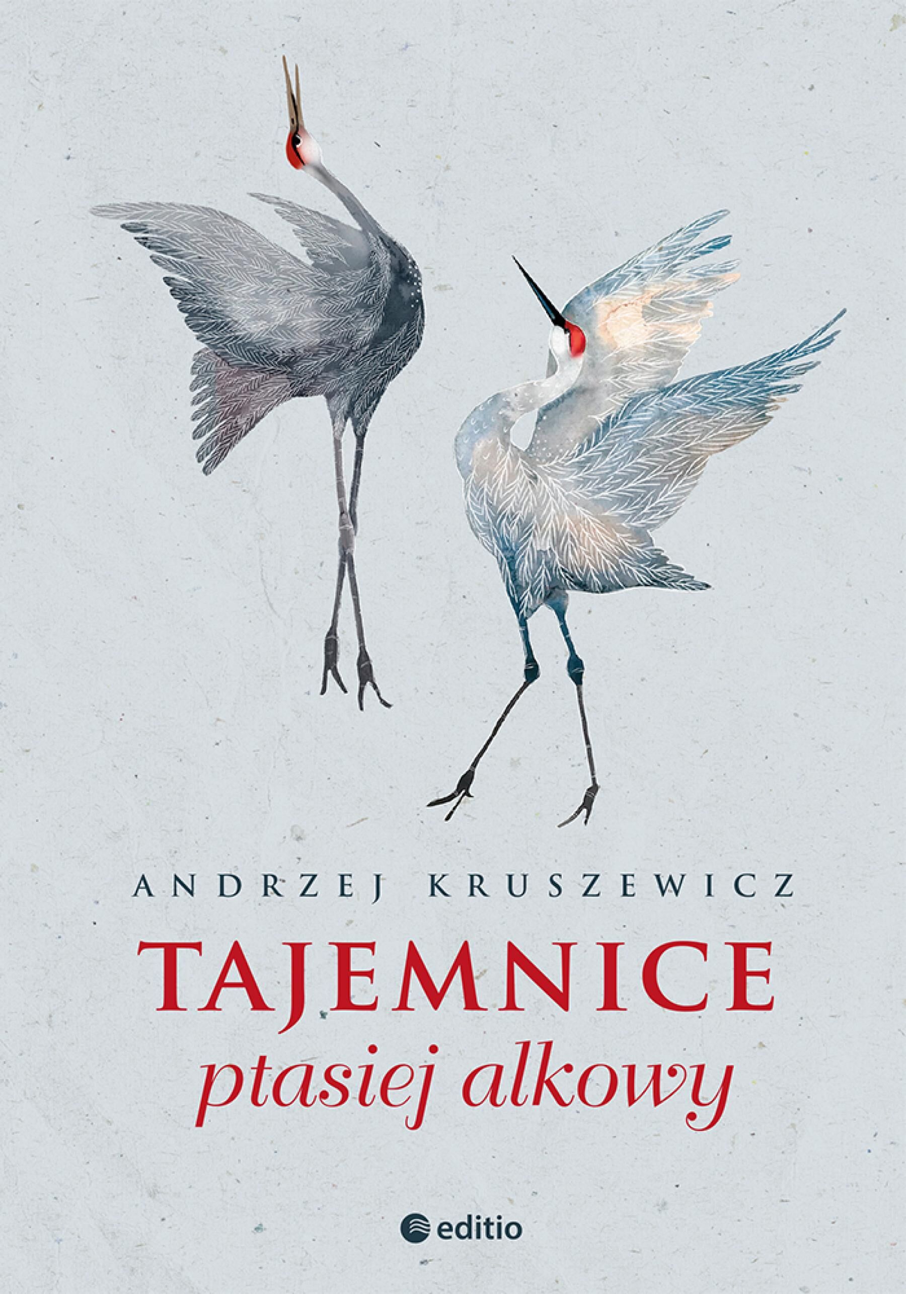 Tajemnice ptasiej alkowy (audiobook MP3)