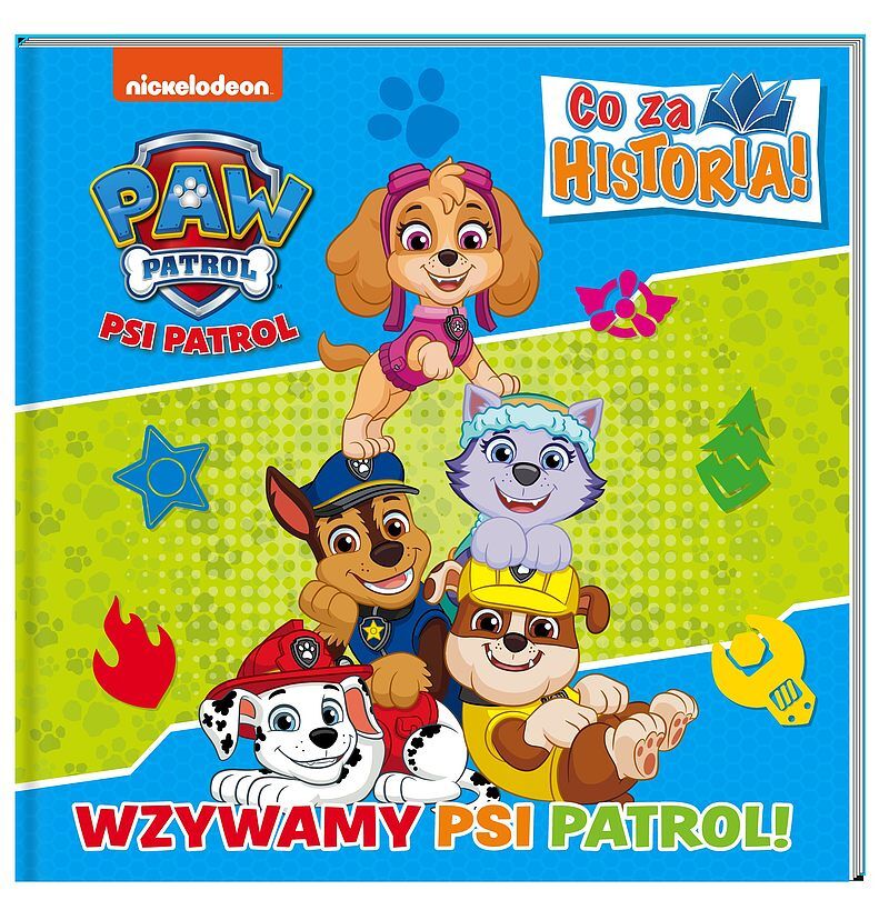 Psi Patrol. Co za historia. Wzywamy Psi Patrol