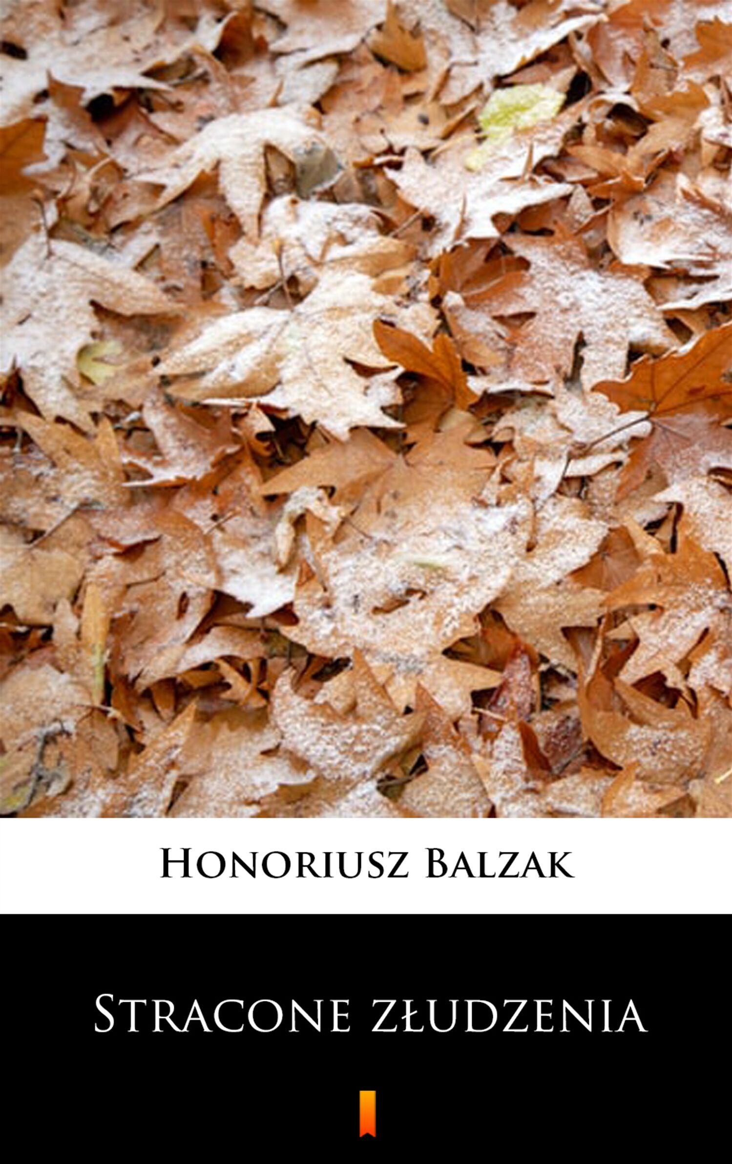 Stracone złudzenia (e-book)