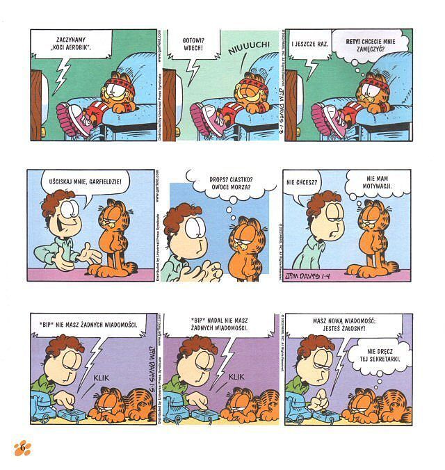 Garfield XXL - 6 - Starszy i szerszy, ale nadal w formie!