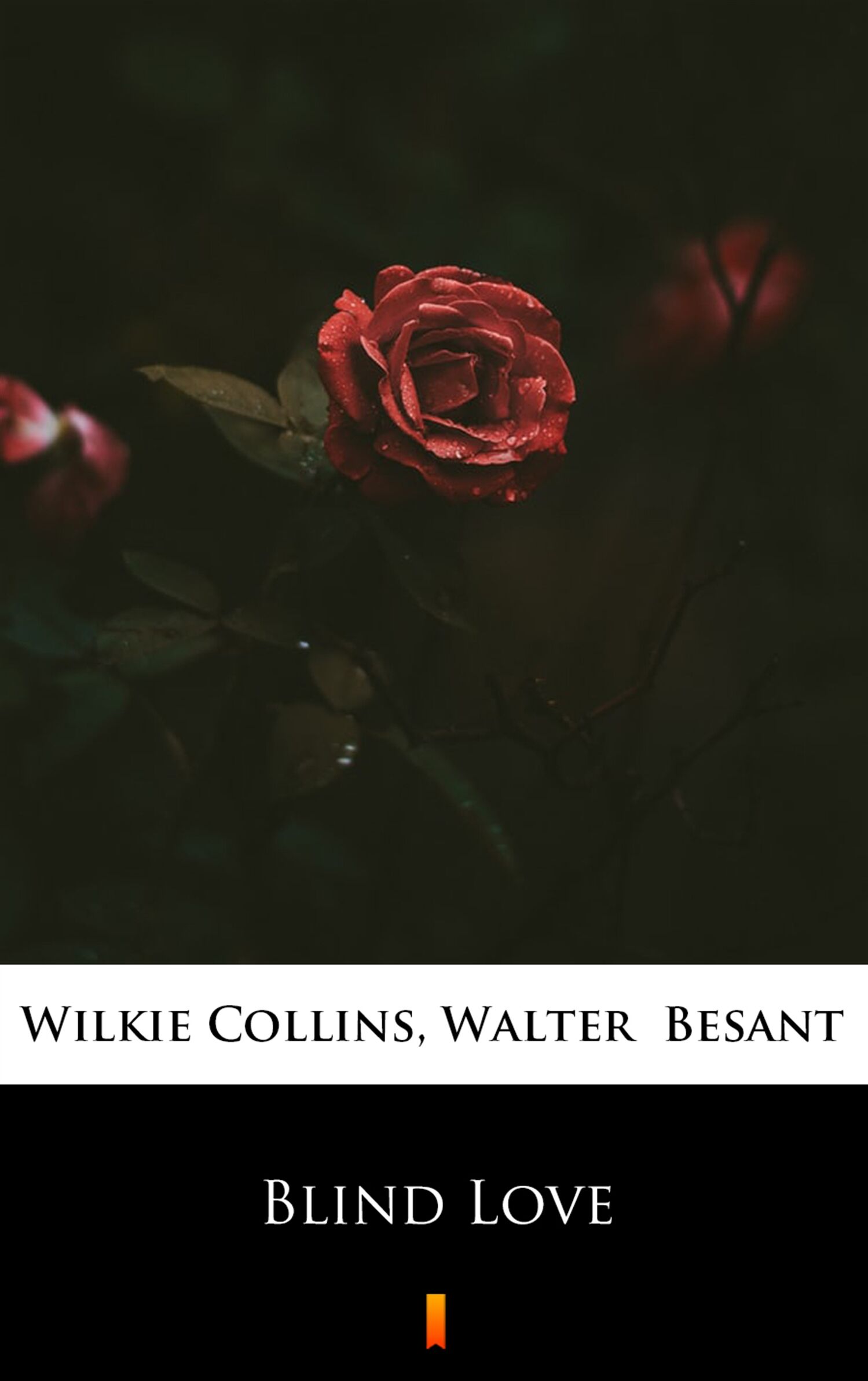 Blind Love (e-book)