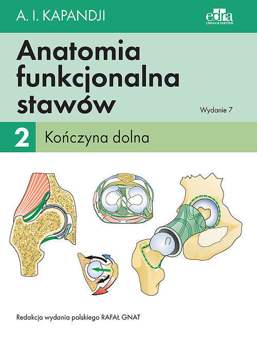 Anatomia funkcjonalna stawów. Tom 2 Kończyna dolna