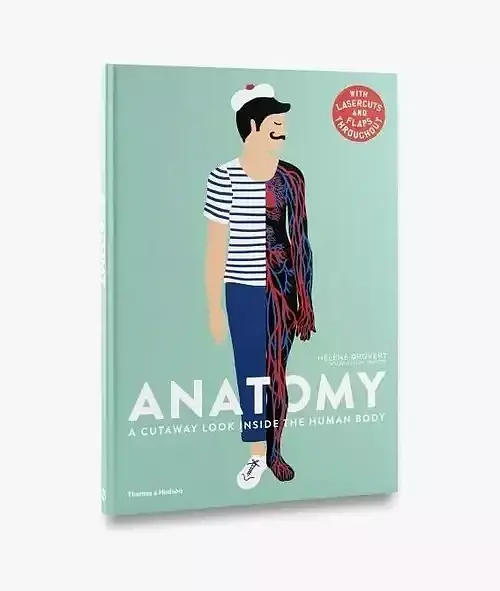 Anatomy