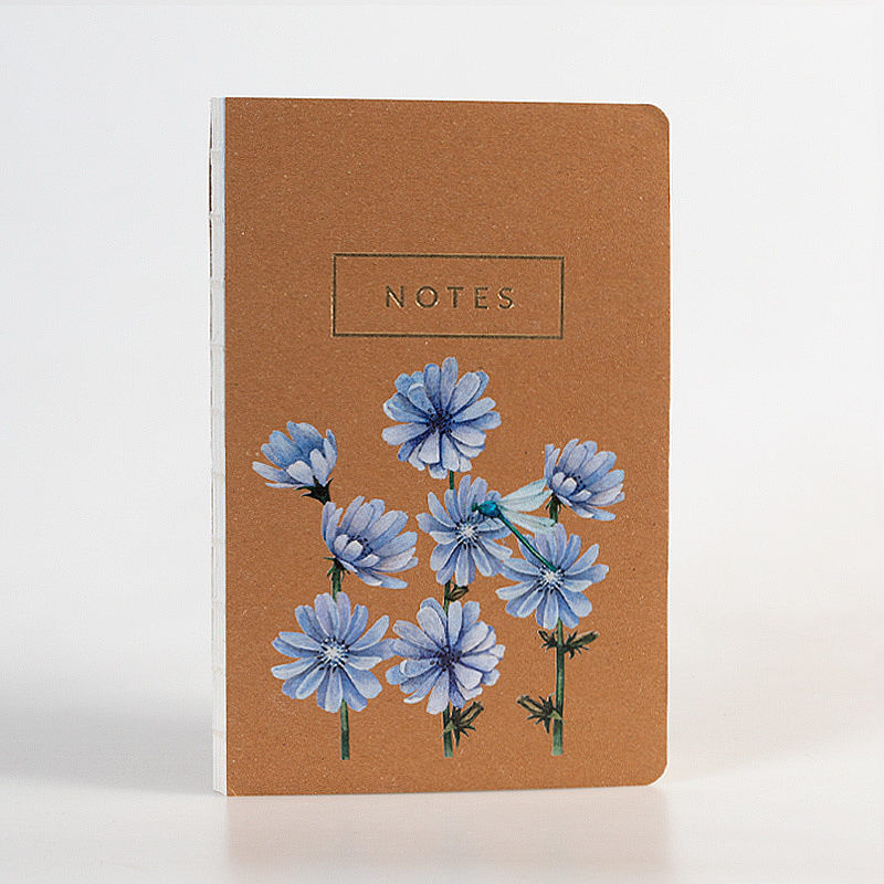 Notes KPL 6 Cykoria