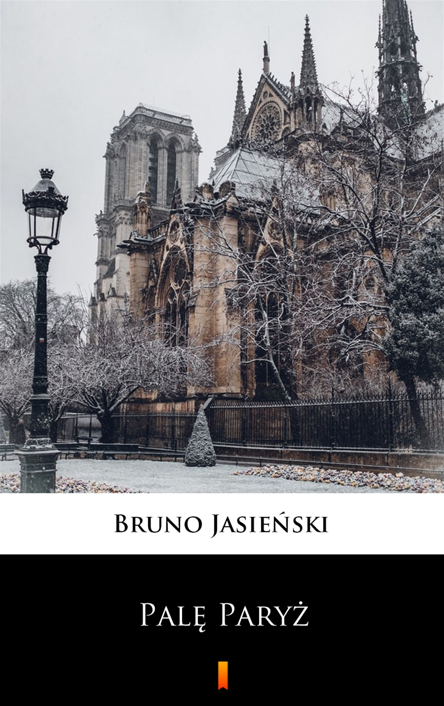 Palę Paryż (e-book)
