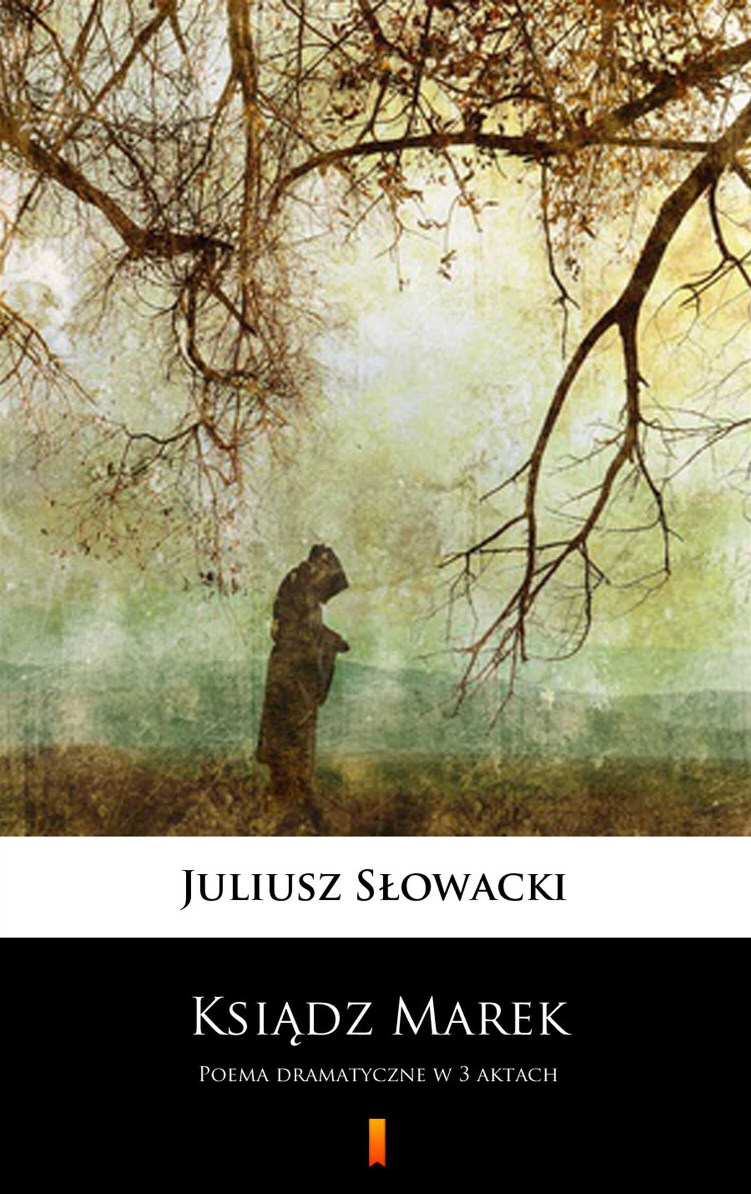 Ksiądz Marek (e-book)