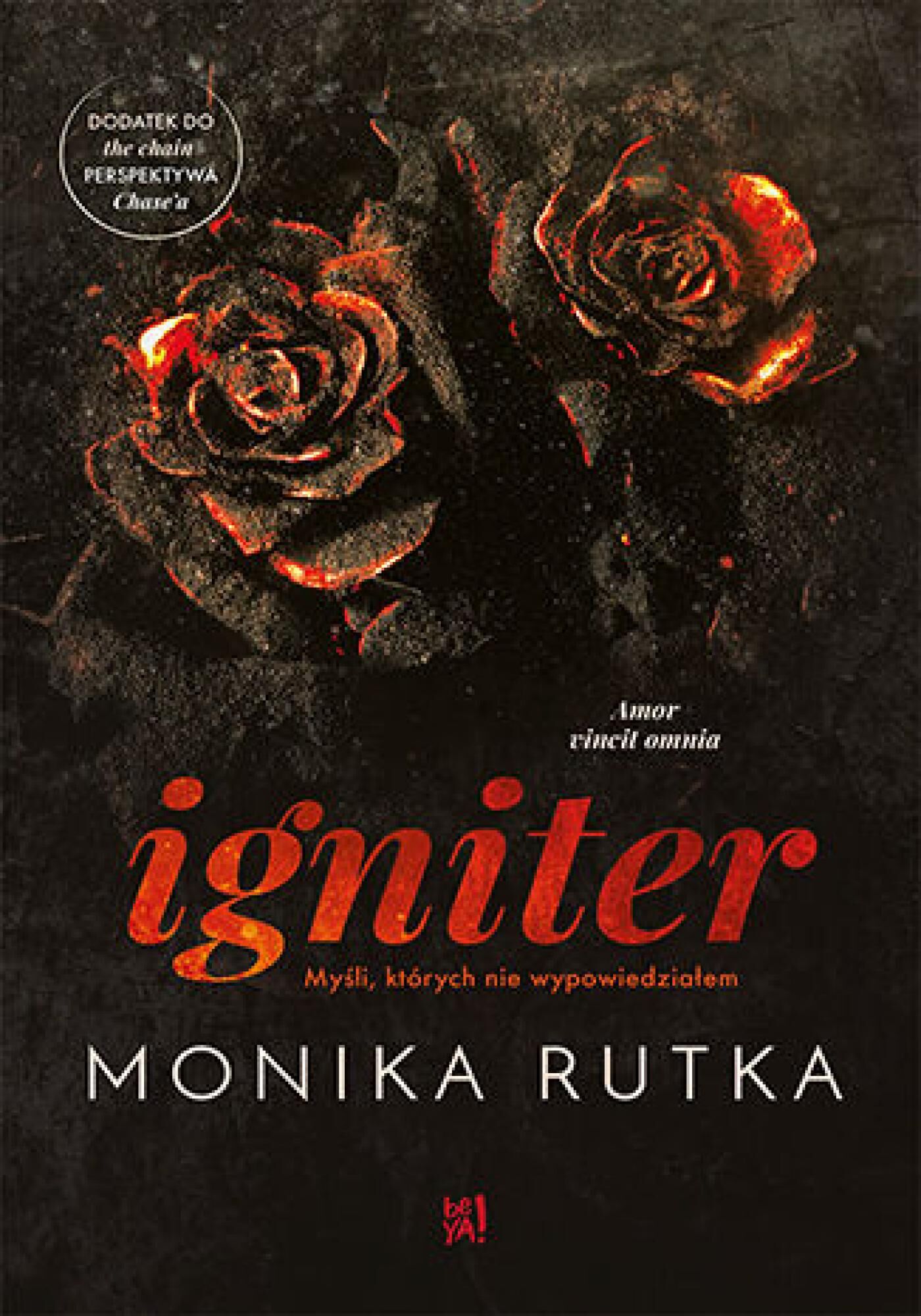 Igniter. Myśli, których nie wypowiedziałem (e-book)