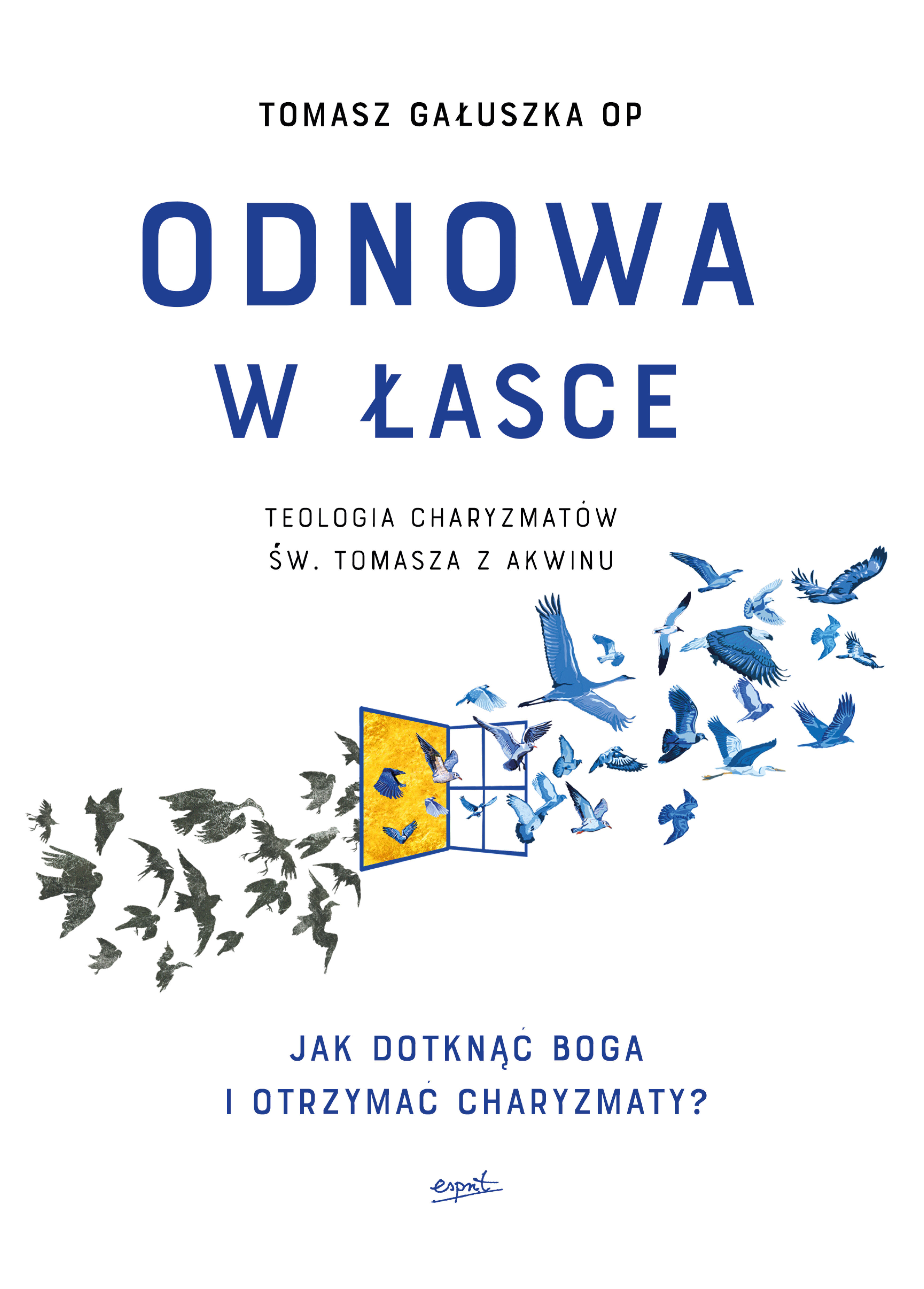 Odnowa w łasce jak dotknąć Boga i otrzymać charyzmaty