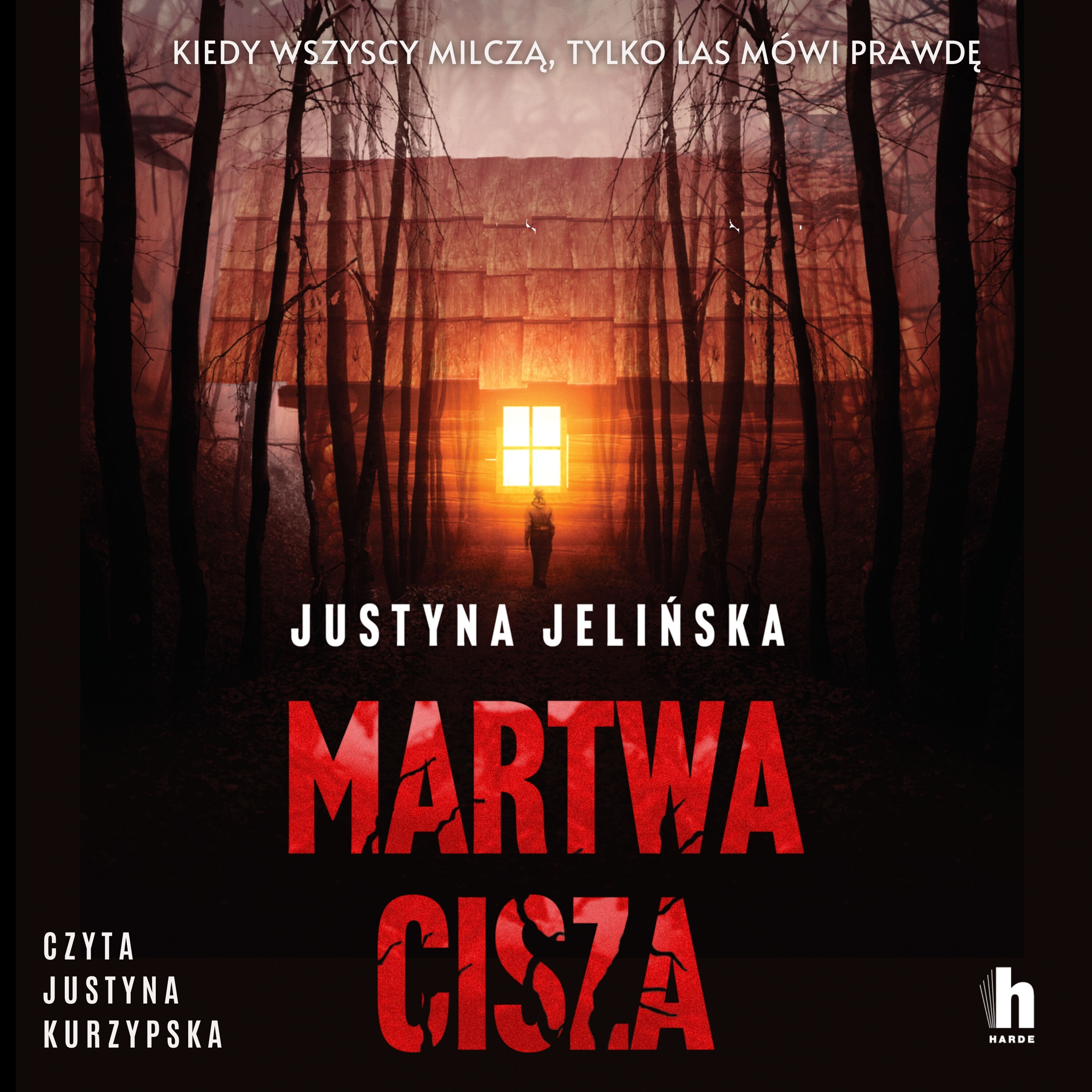 Martwa cisza (audiobook MP3)