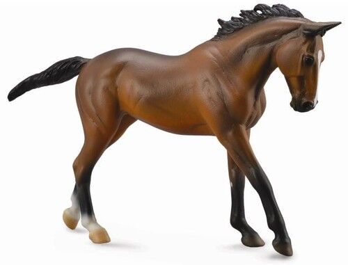 Klacz rasy Thoroughbred