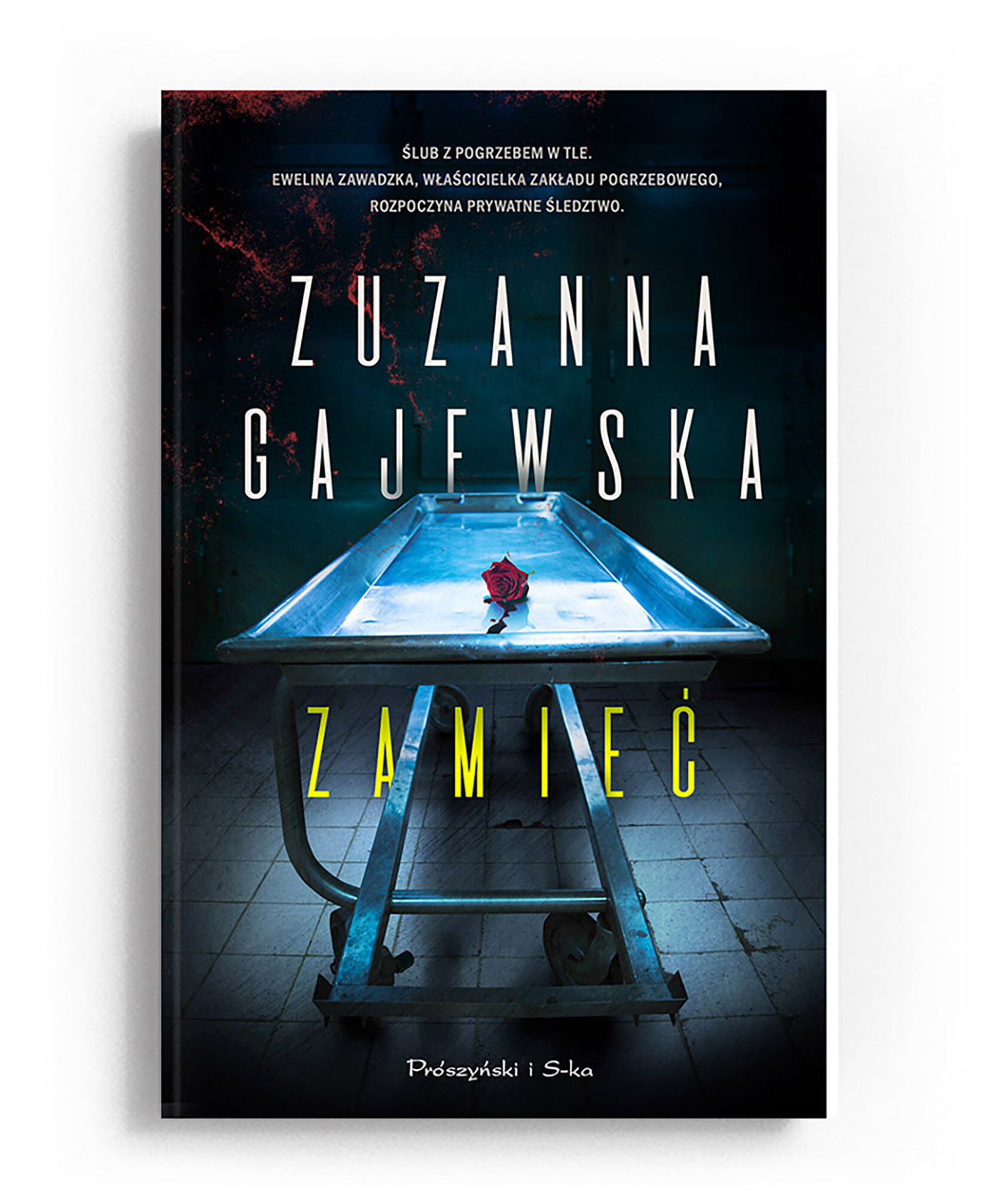Zamieć (e-book)