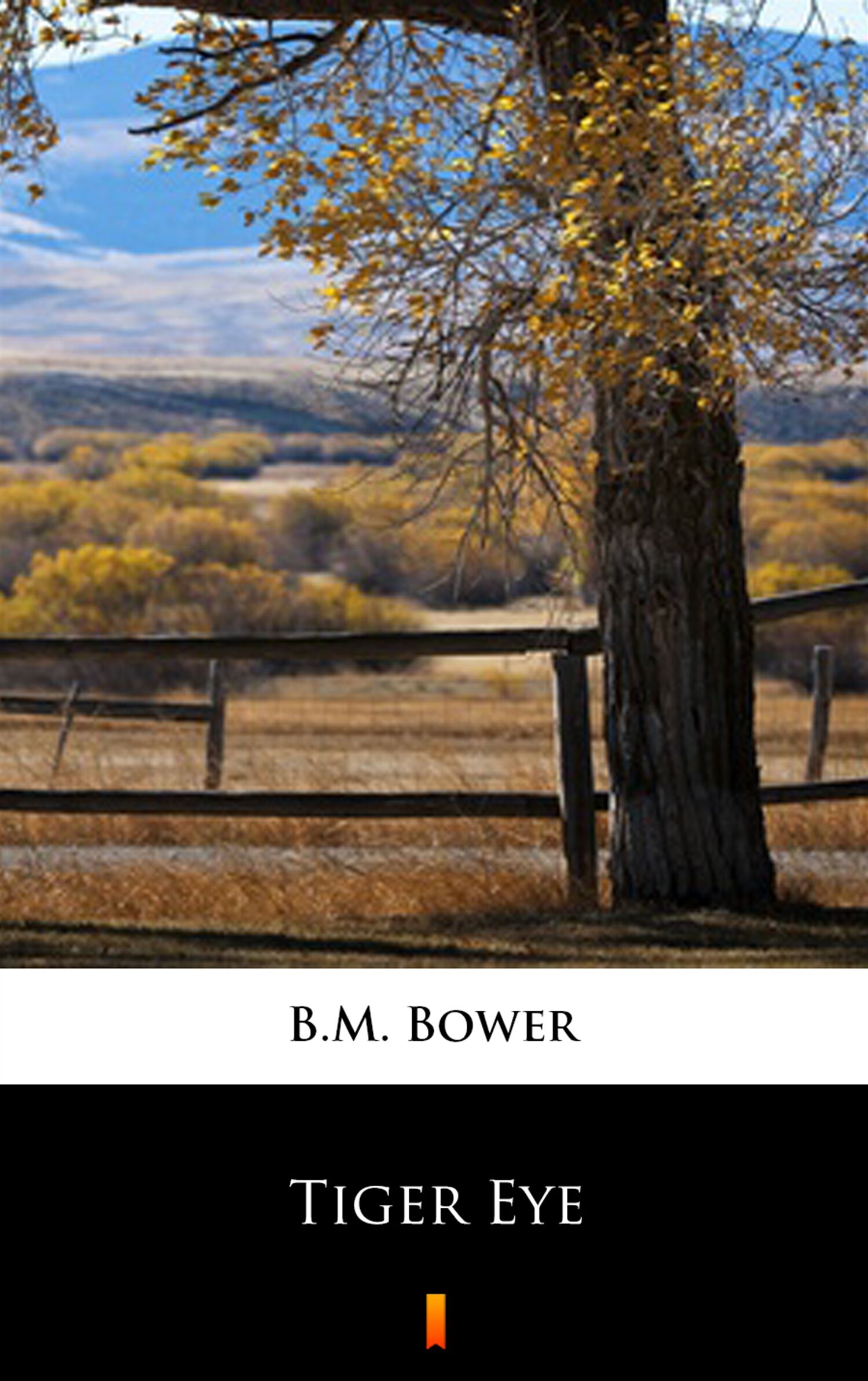 Tiger Eye (e-book)