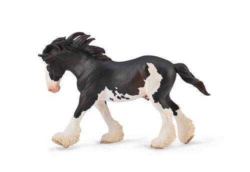 Ogier Clydesdale maści Black Sambino