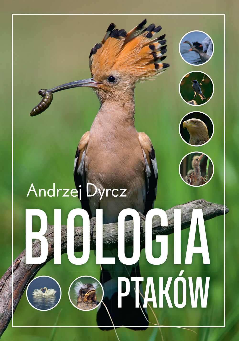 Biologia ptaków (e-book)