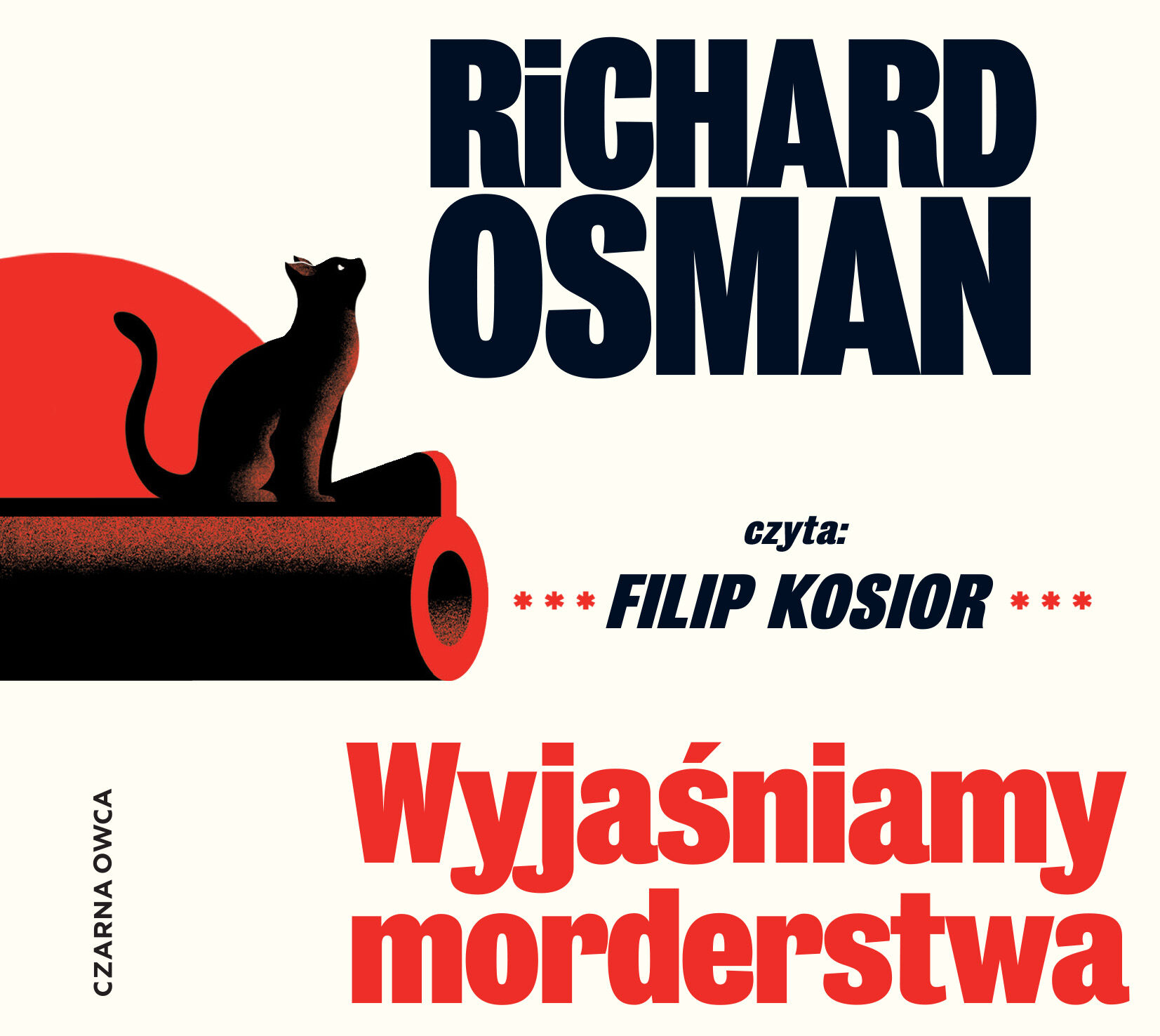Wyjaśniamy morderstwa (audiobook MP3)