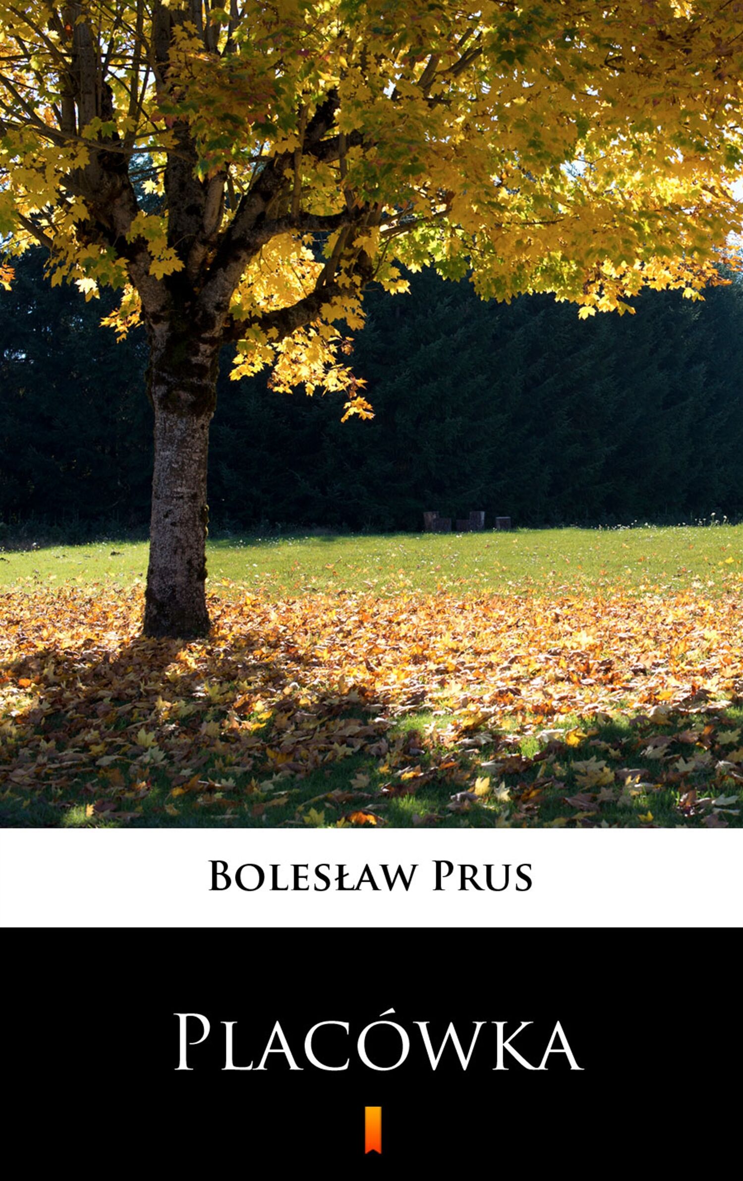 Placówka (e-book)