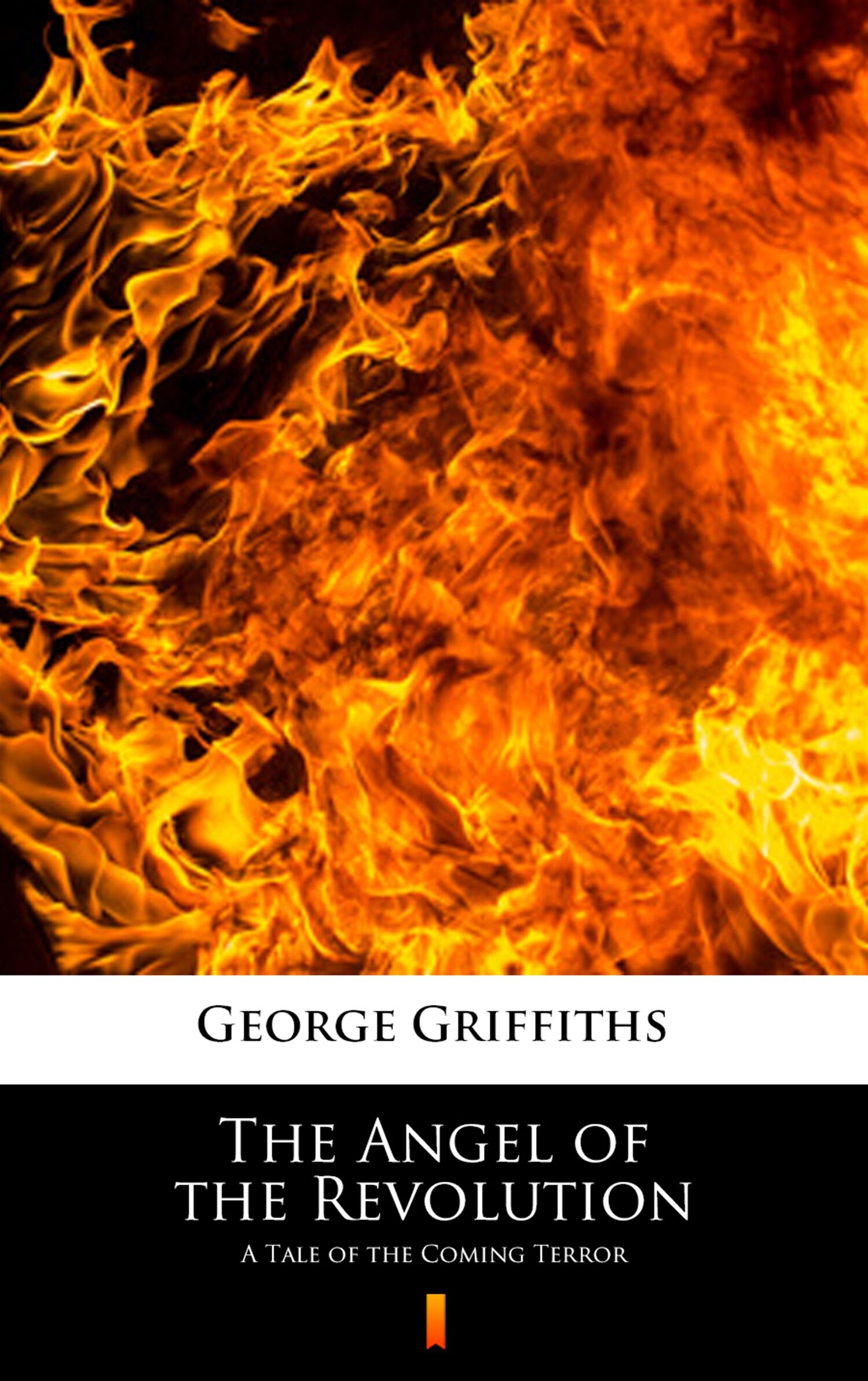 The Angel of the Revolution (e-book)