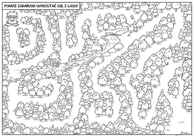 Zadar - 1 - Sam w lesie