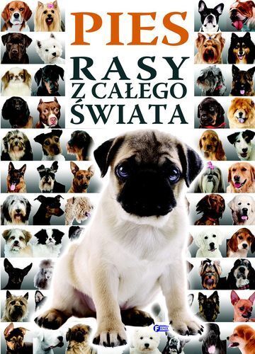 Pies rasy z całego świata