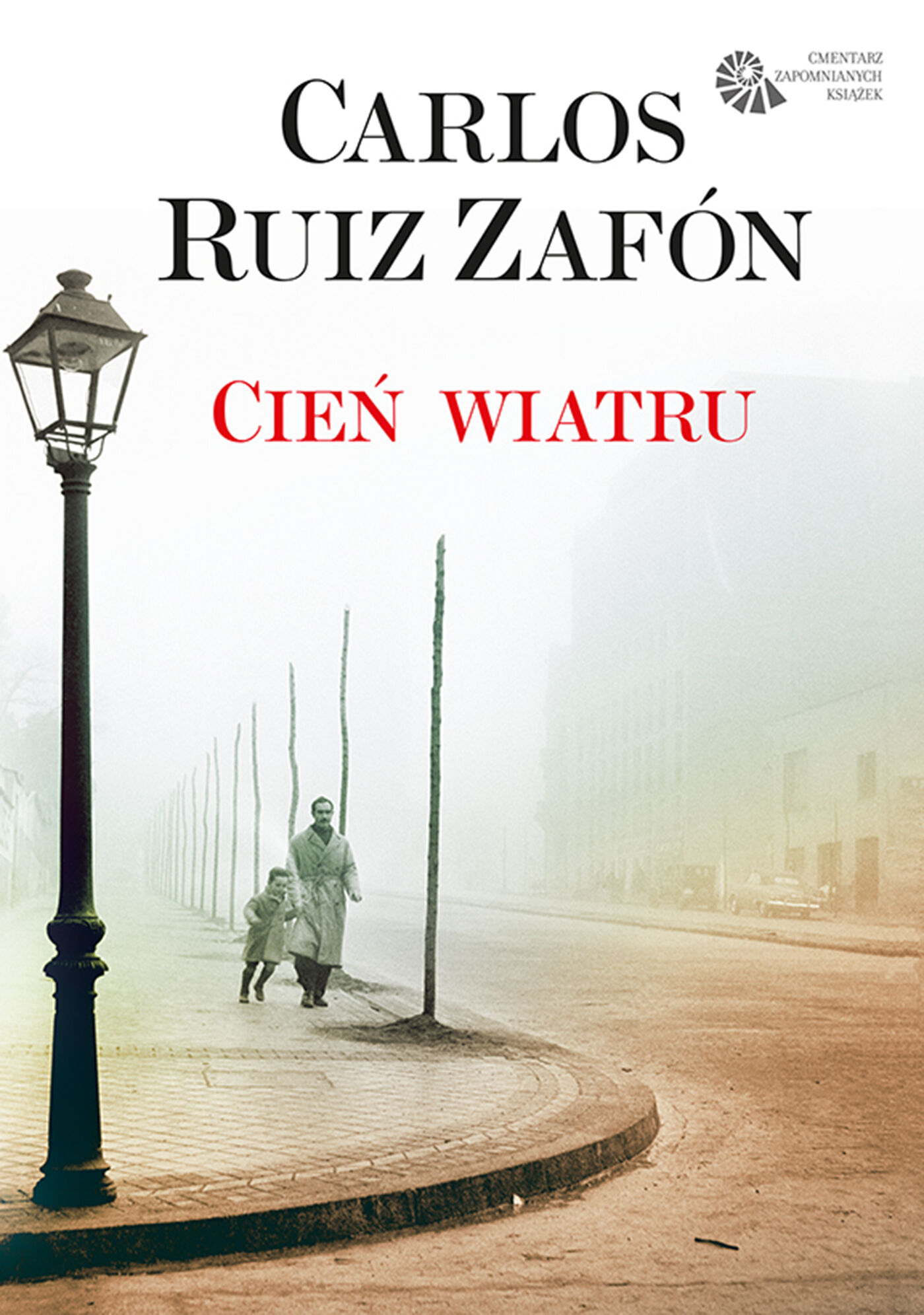 Cień WIatru (e-book)