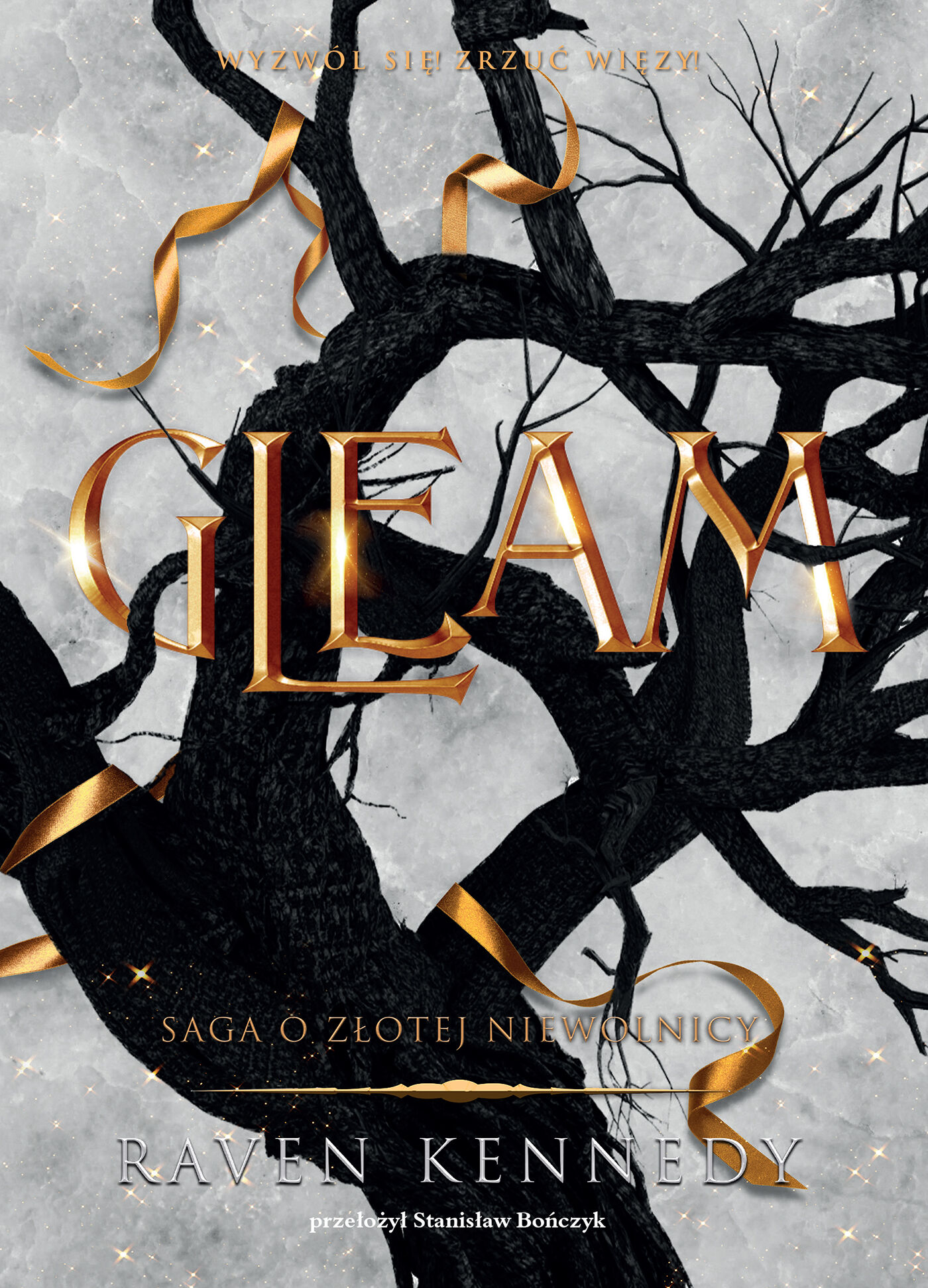 Gleam (e-book)