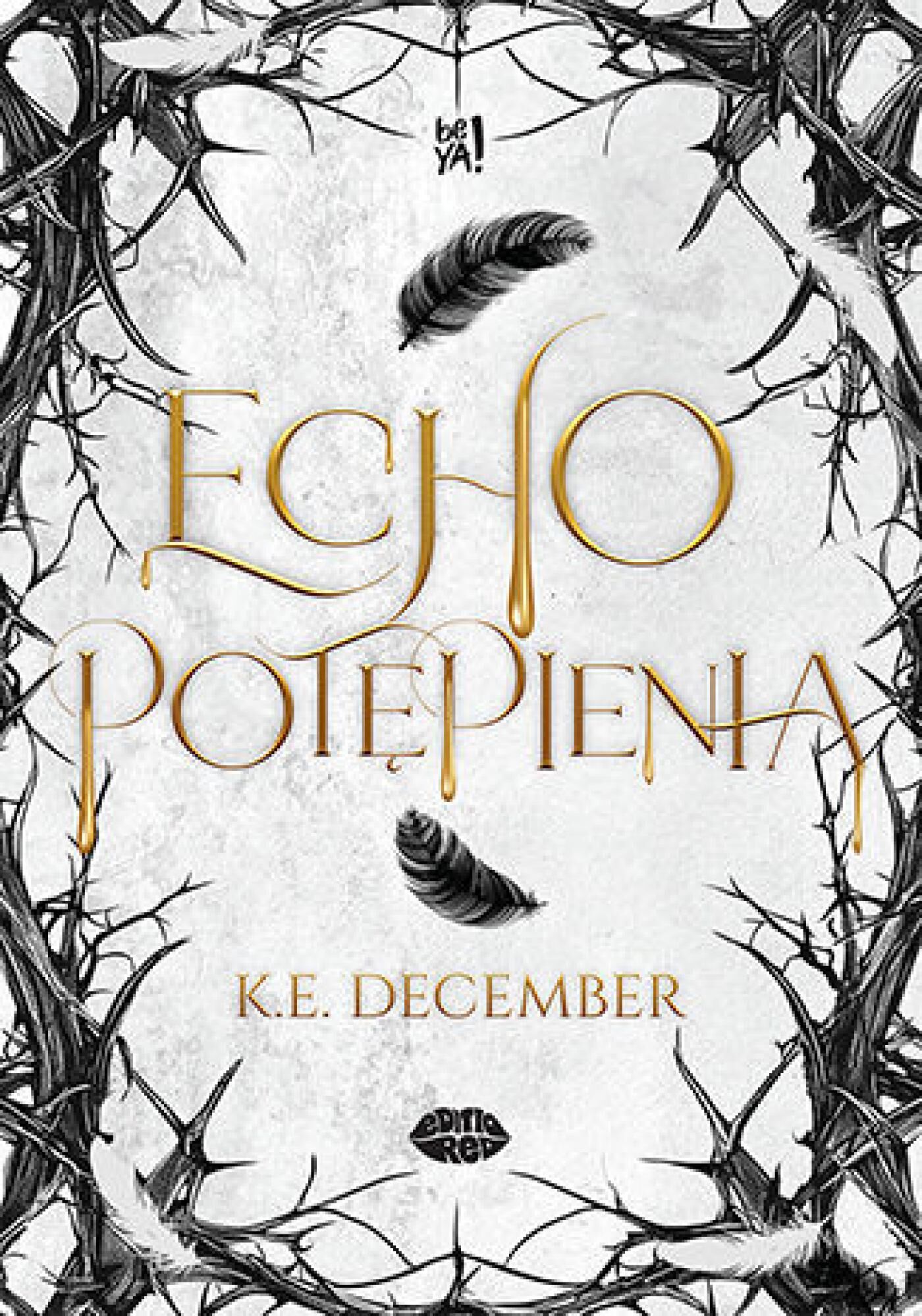 Echo potępienia (e-book)