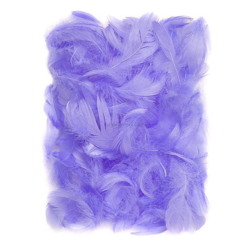Piórka liliowe 5-12 cm 10g