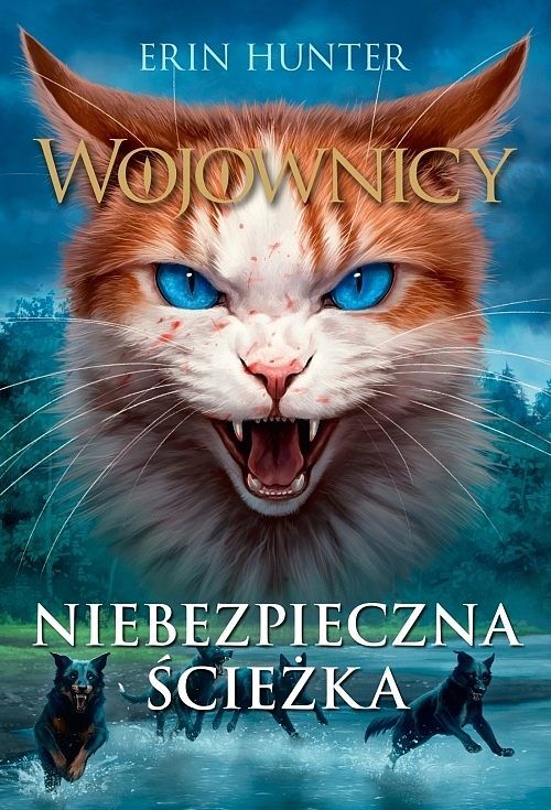 Niebezpieczna ścieżka /NB/ brosz.