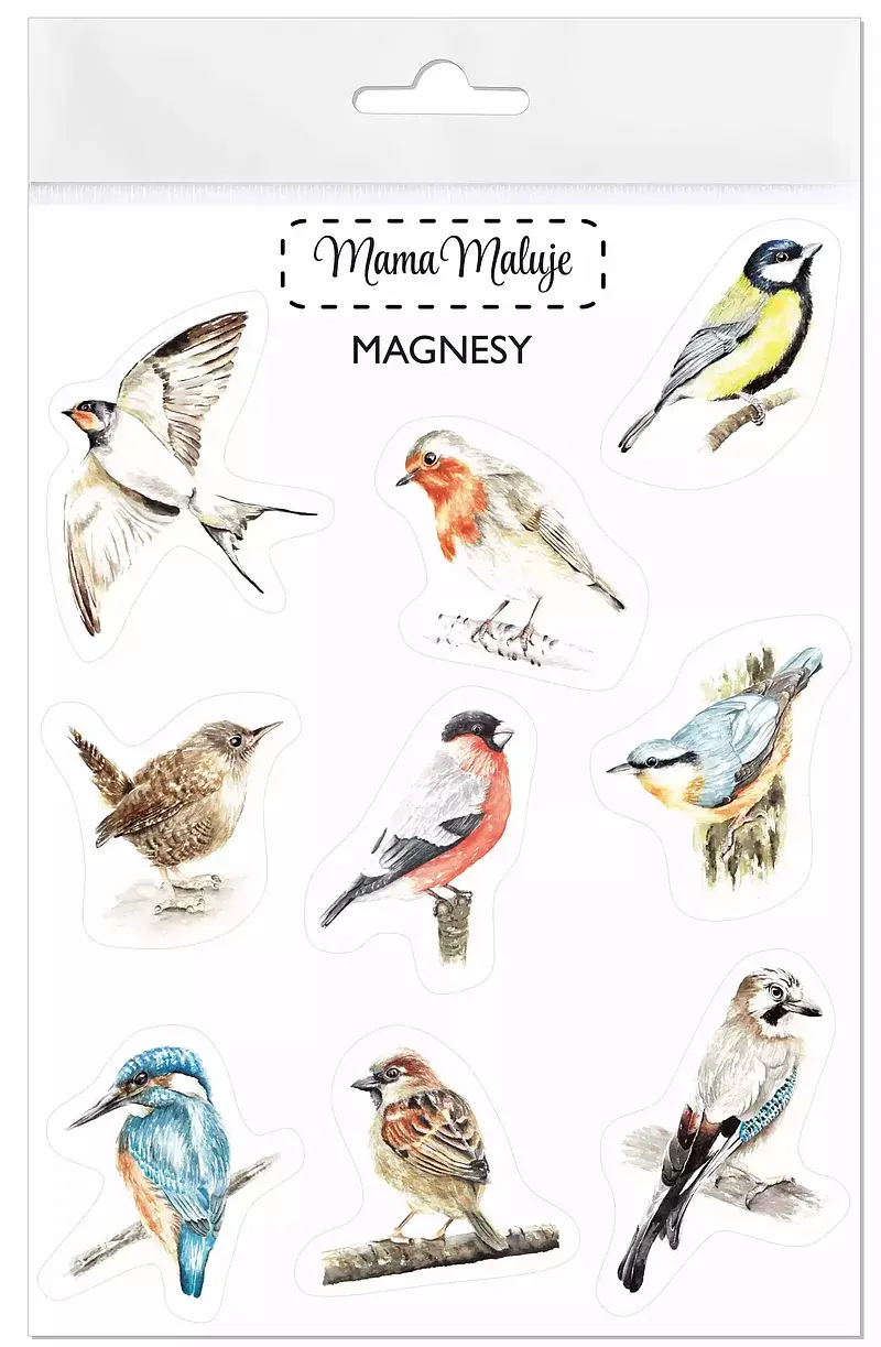 Magnesy ptaki