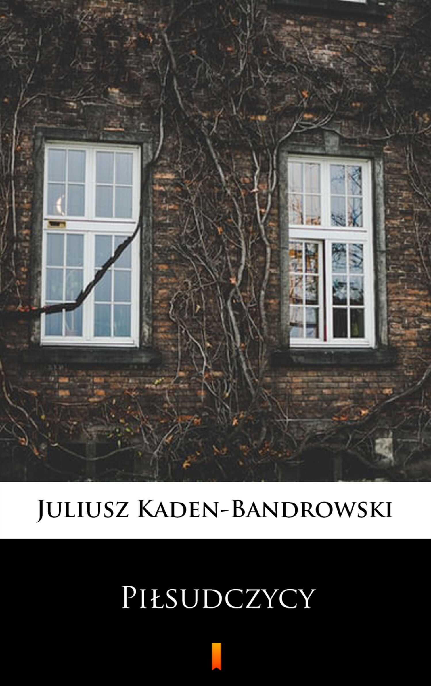 Piłsudczycy (e-book)