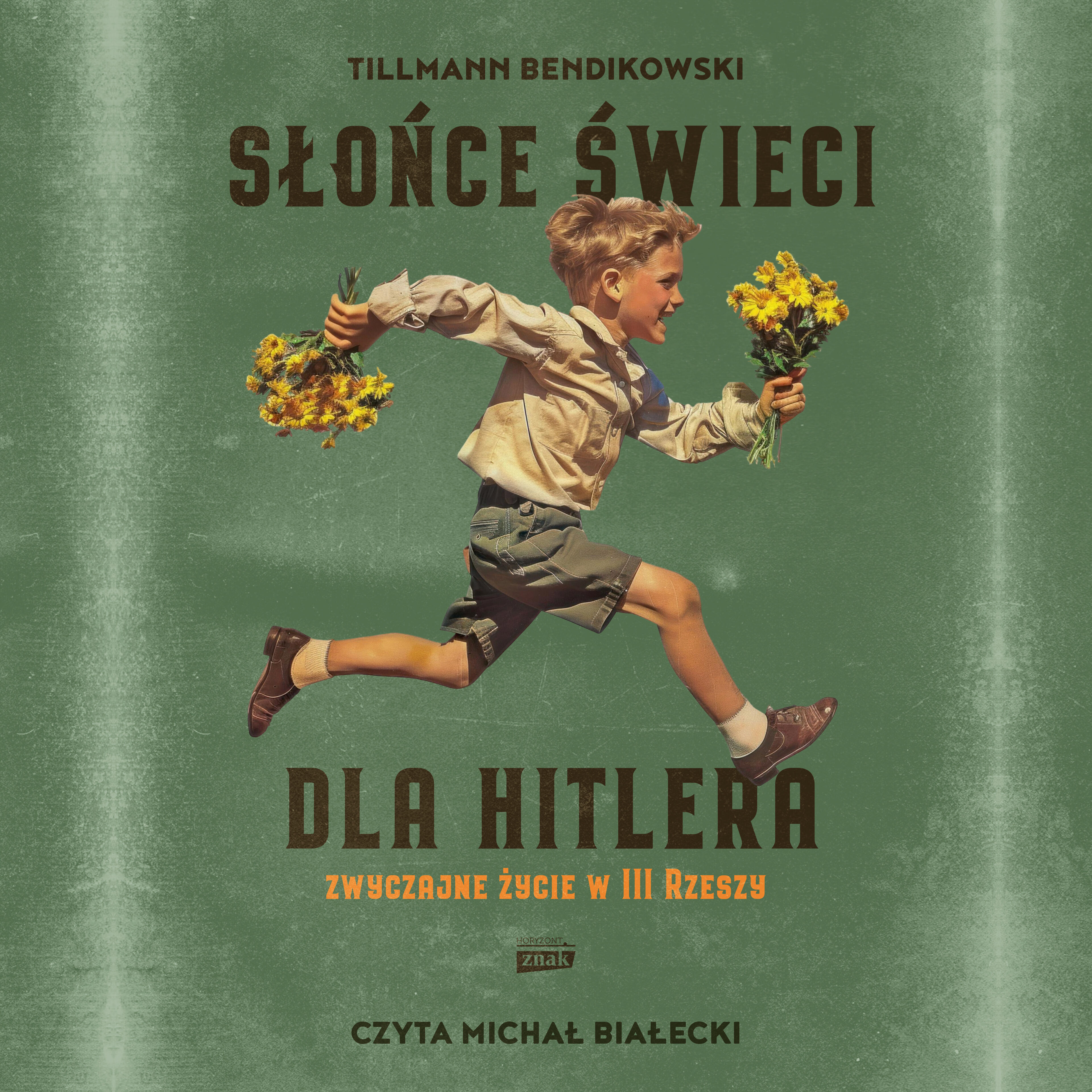 Słońce świeci dla Hitlera. Zwyczajne życie w III Rzeszy (audiobook MP3)