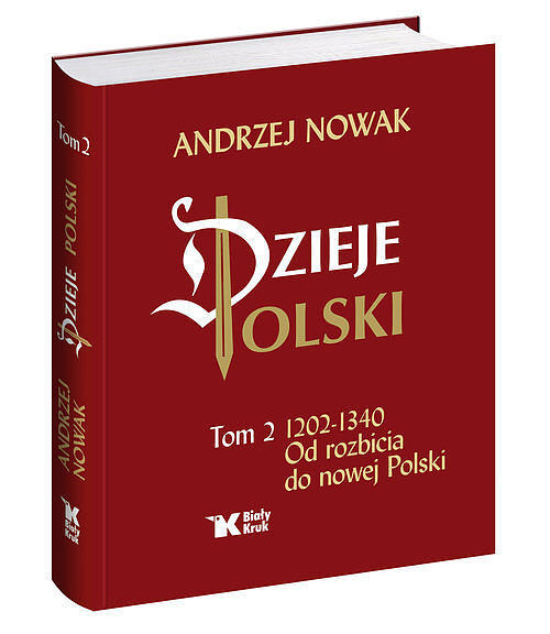 Dzieje Polski. Od rozbicia do nowej Polski. Tom 2