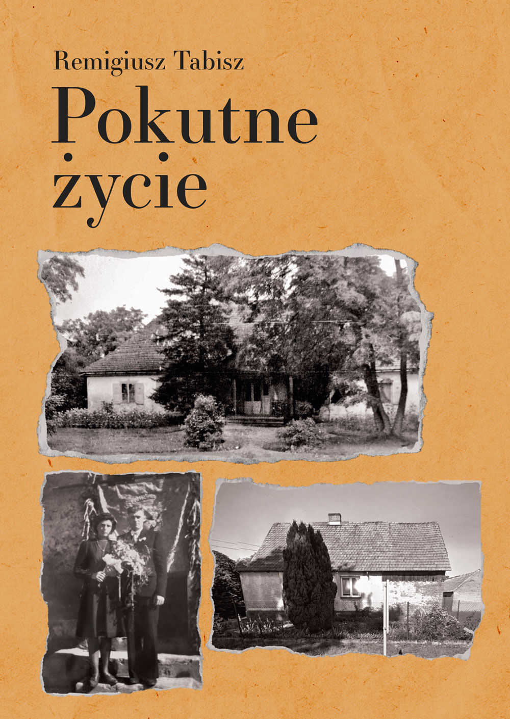 Pokutne życie (e-book)