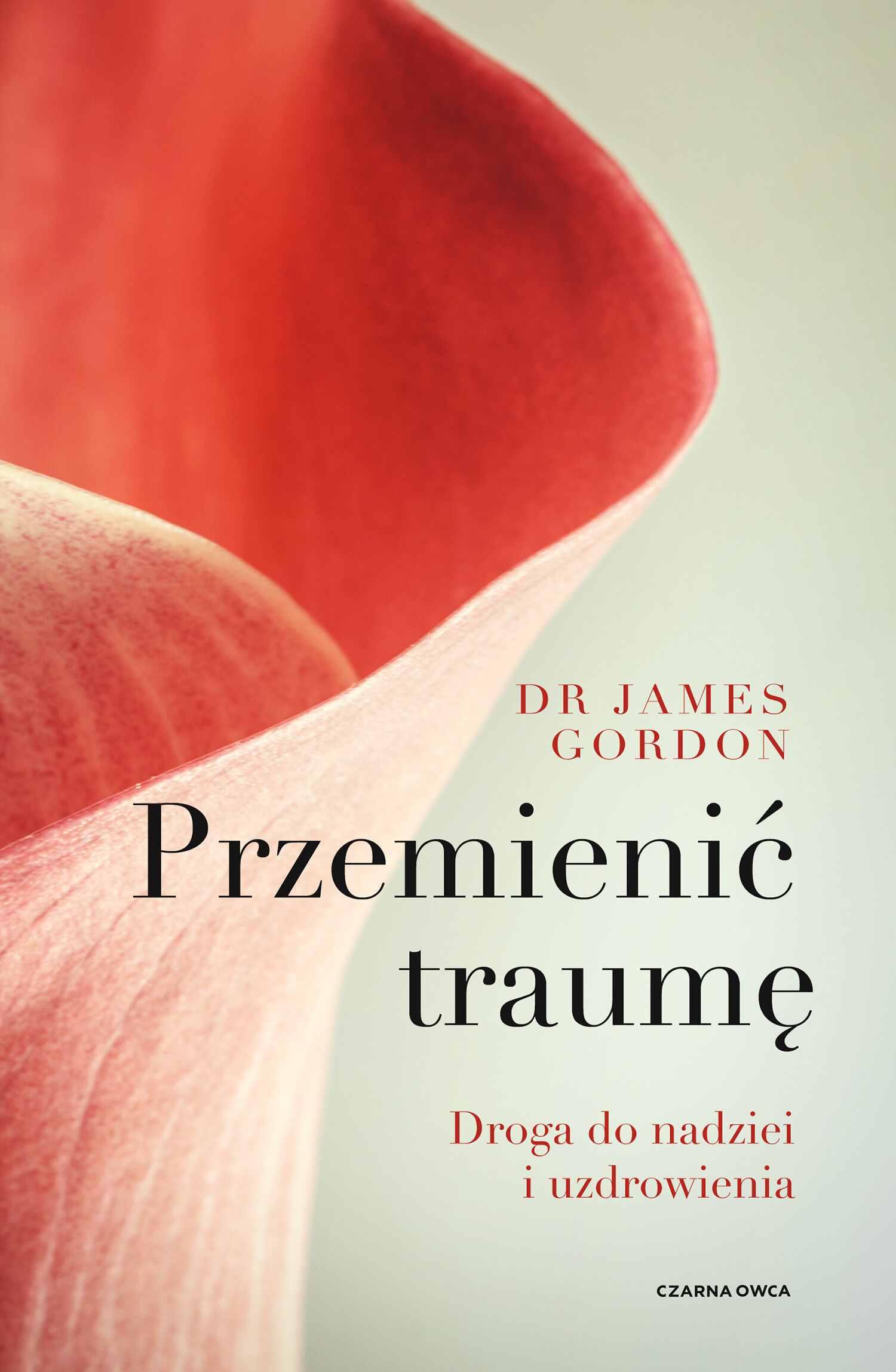 Przemienić traumę (e-book)