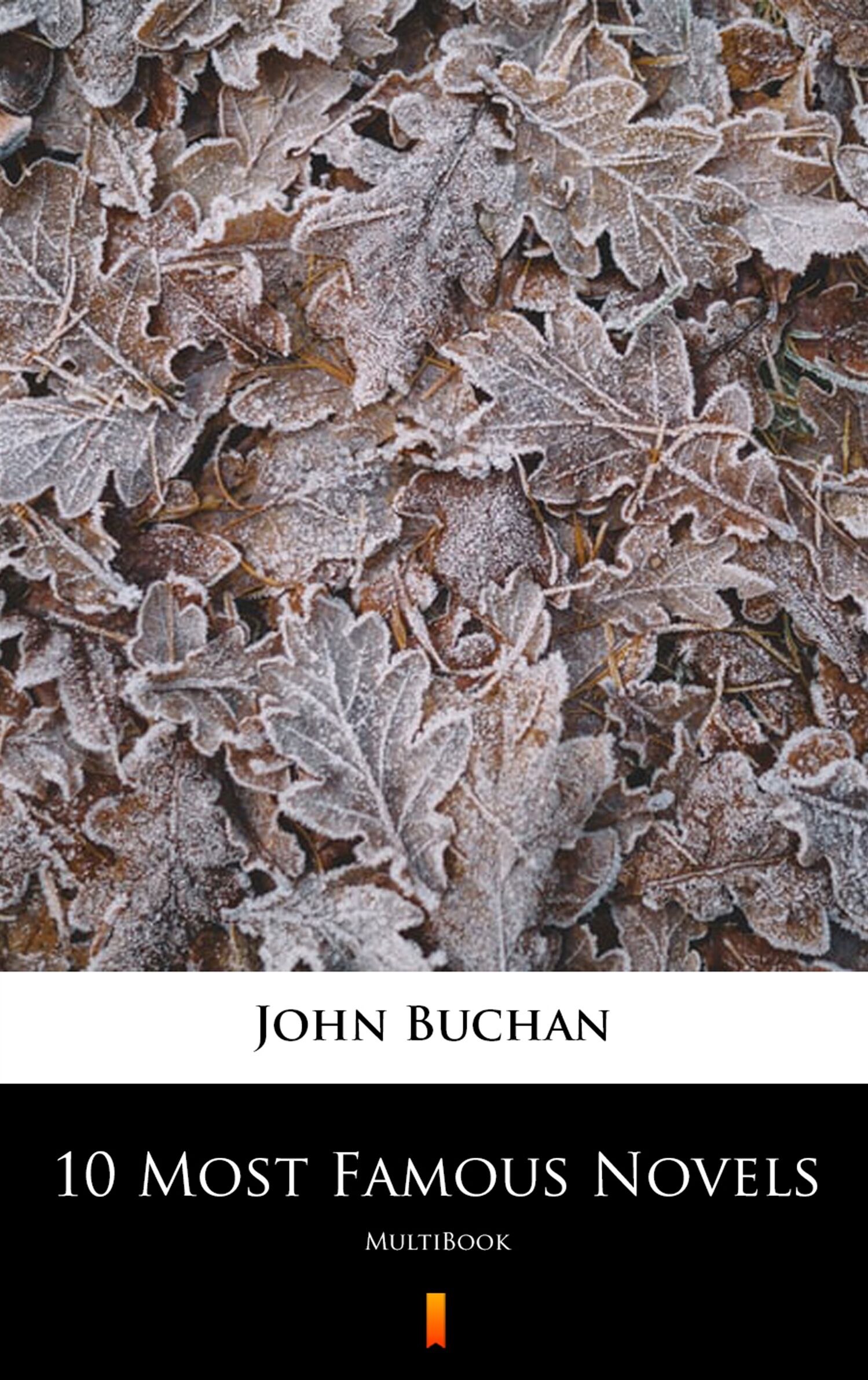 10 Most Famous Novels (e-book)