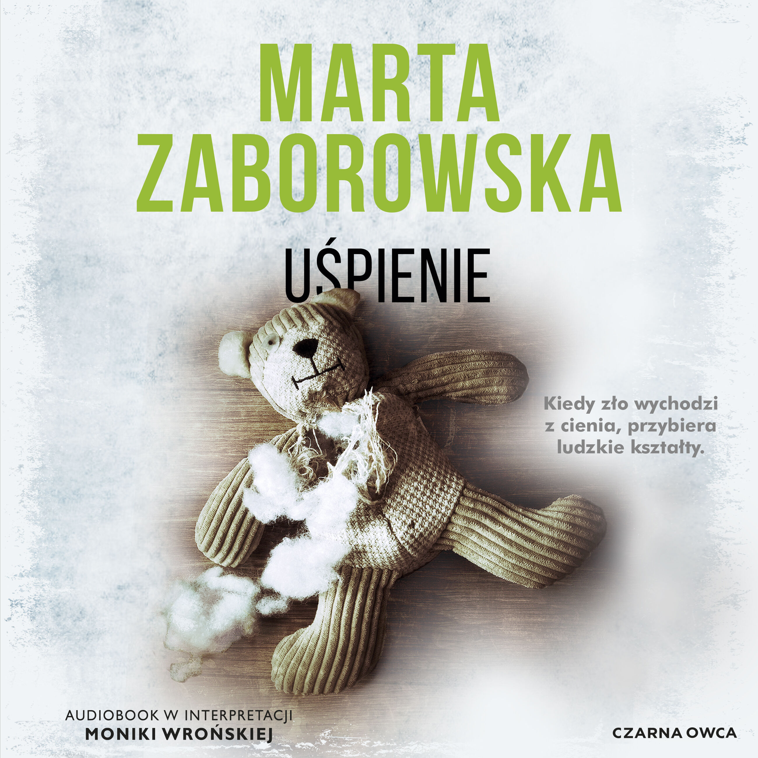 Uśpienie (audiobook MP3)