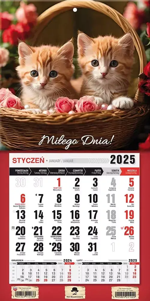 Kalendarz 2025 jednodzielny mini z magnesem kotki ktj2m- v. 27