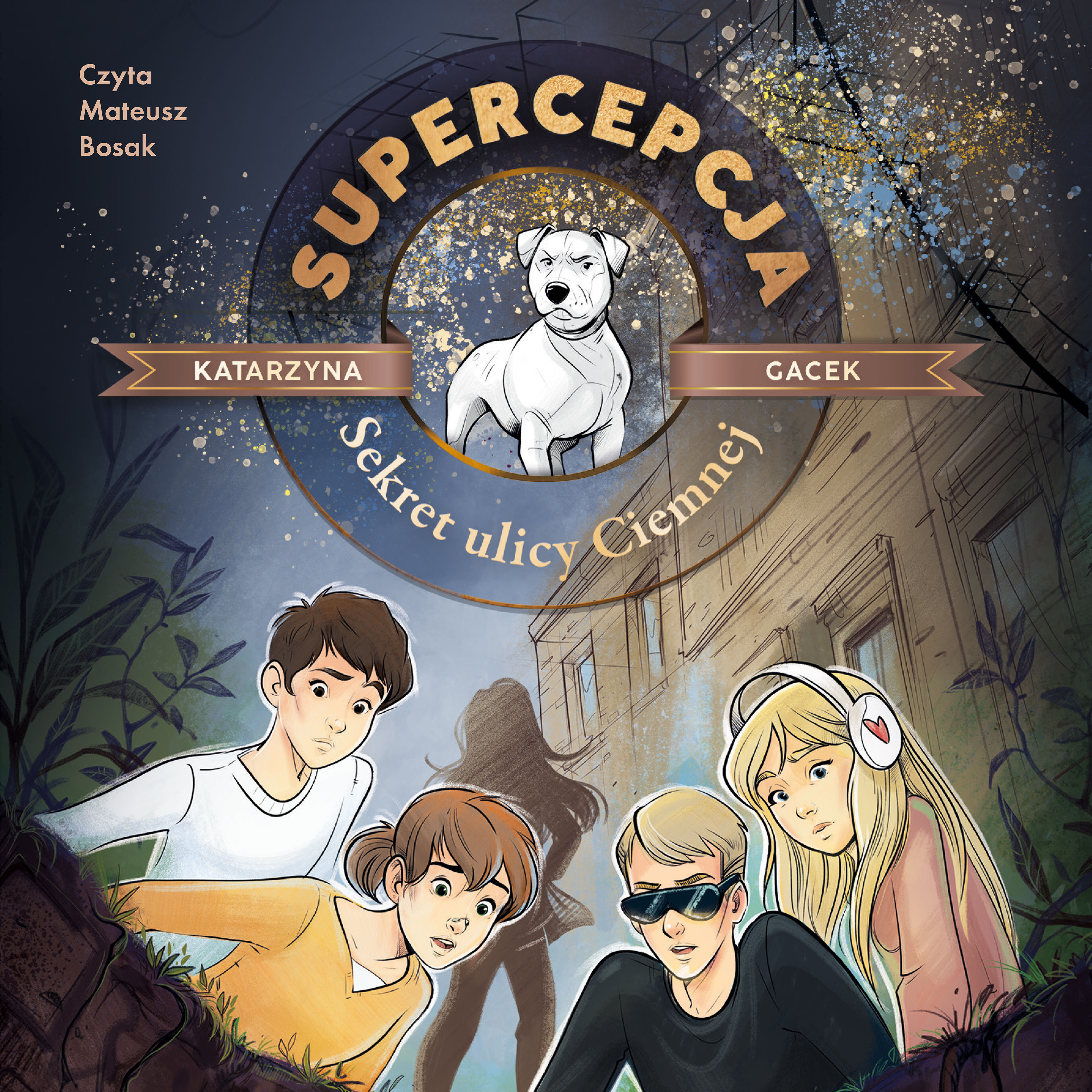 Supercepcja. Sekret ulicy Ciemnej (audiobook MP3)
